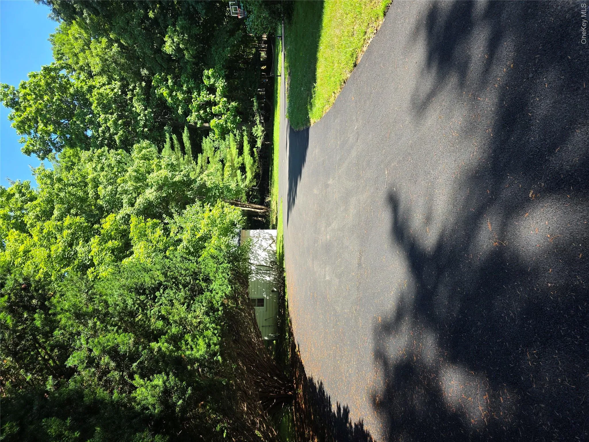 Newly paved upper portion of driveway Newly paved upper portion of driveway