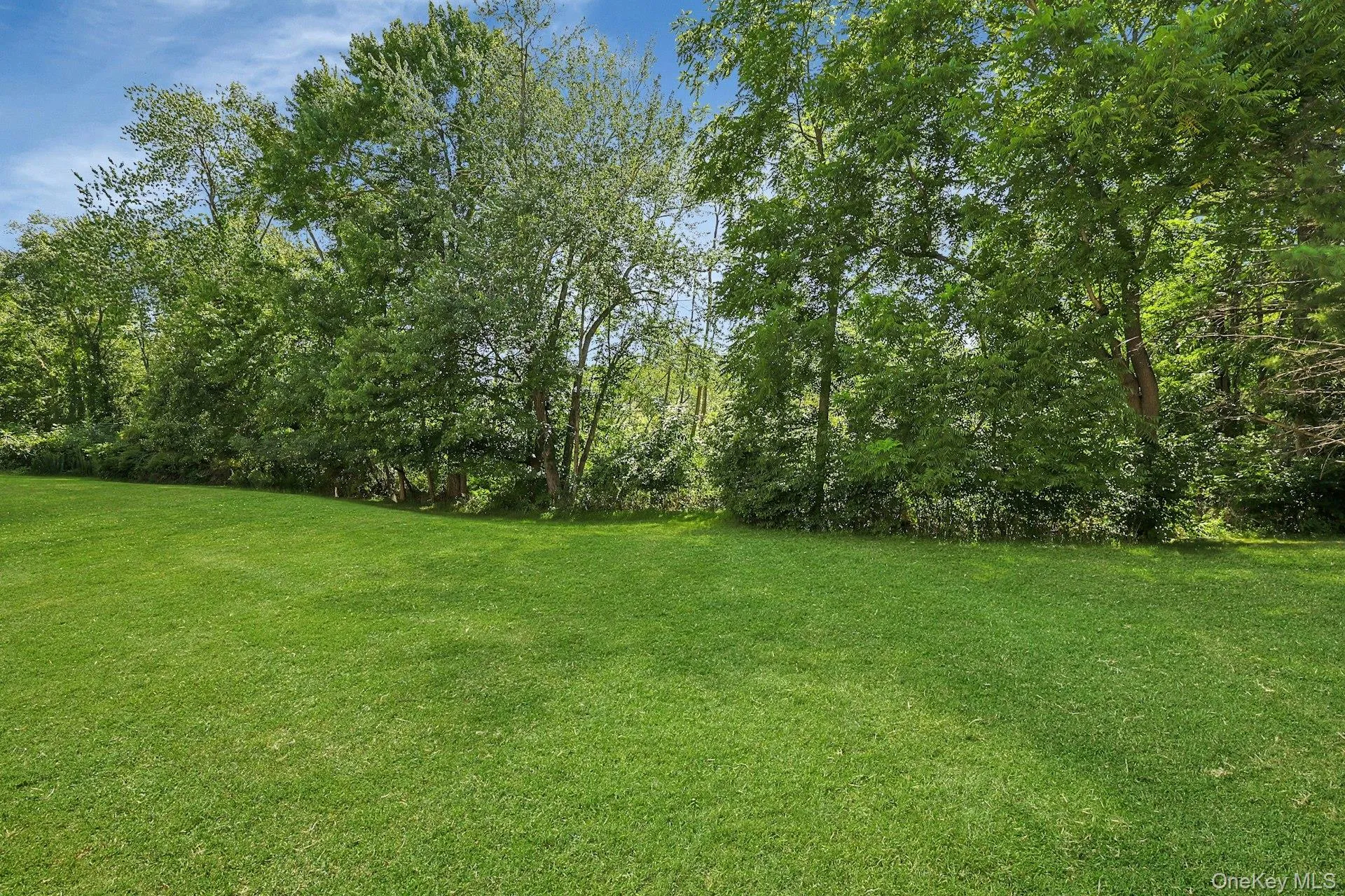 Lush outdoor space framed by mature trees and natural surroundings Lush outdoor space framed by mature trees and natural surroundings
