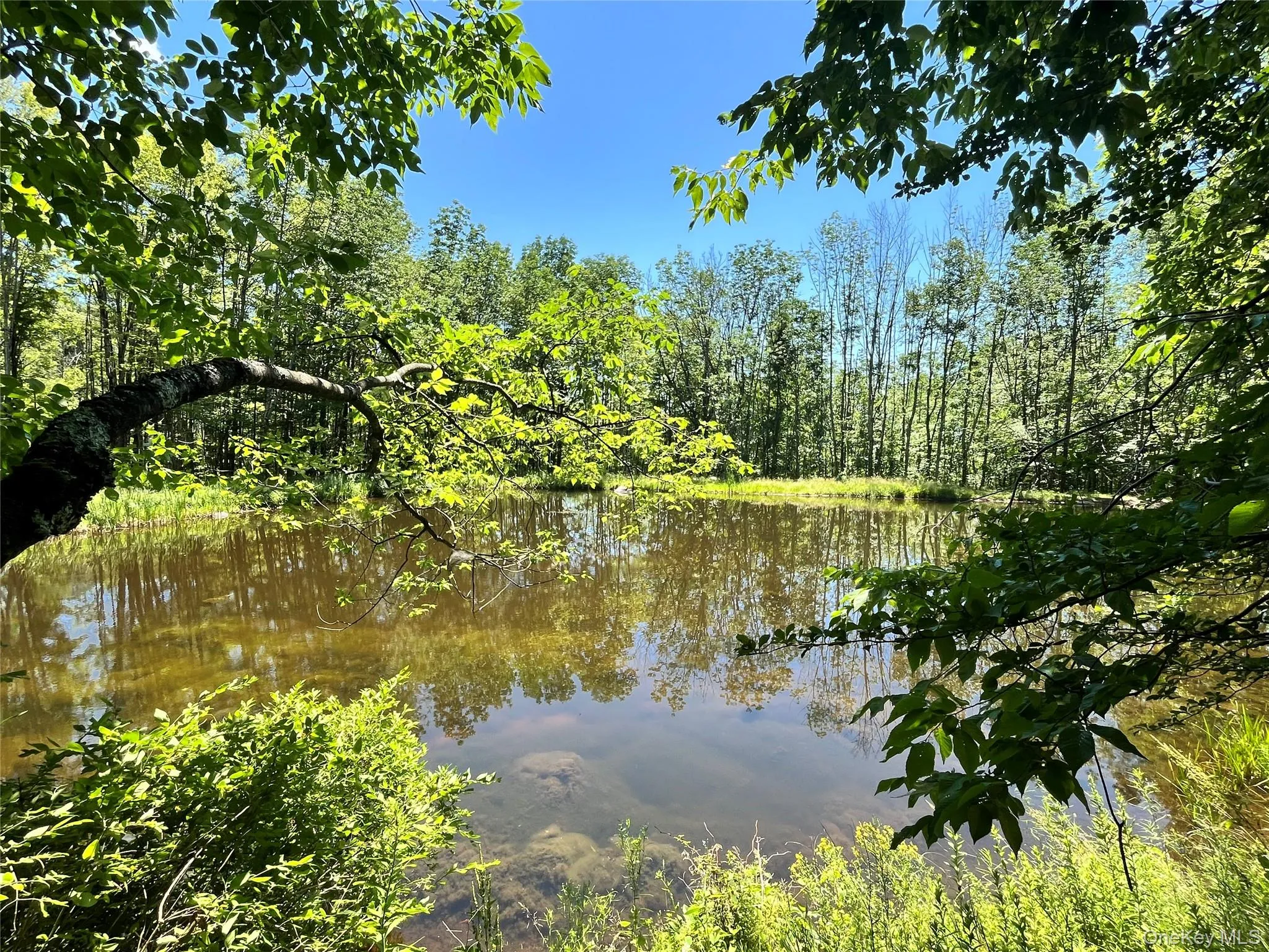 Upper Pond Dahlia Road, Liberty, NY, ,Land,For Rent,Dahlia,0,1024035 Upper Pond Dahlia Road, Liberty, NY, ,Land,For Rent,Dahlia,0,1024035