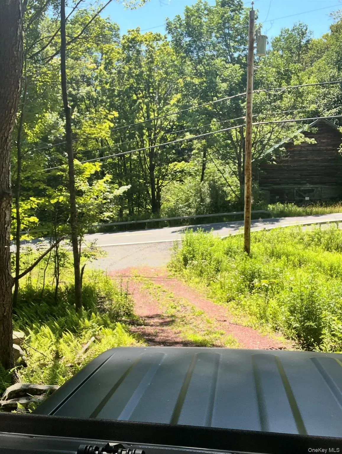 Upper Pond Dahlia Road, Liberty, NY, ,Land,For Rent,Dahlia,0,1024035 Upper Pond Dahlia Road, Liberty, NY, ,Land,For Rent,Dahlia,0,1024035