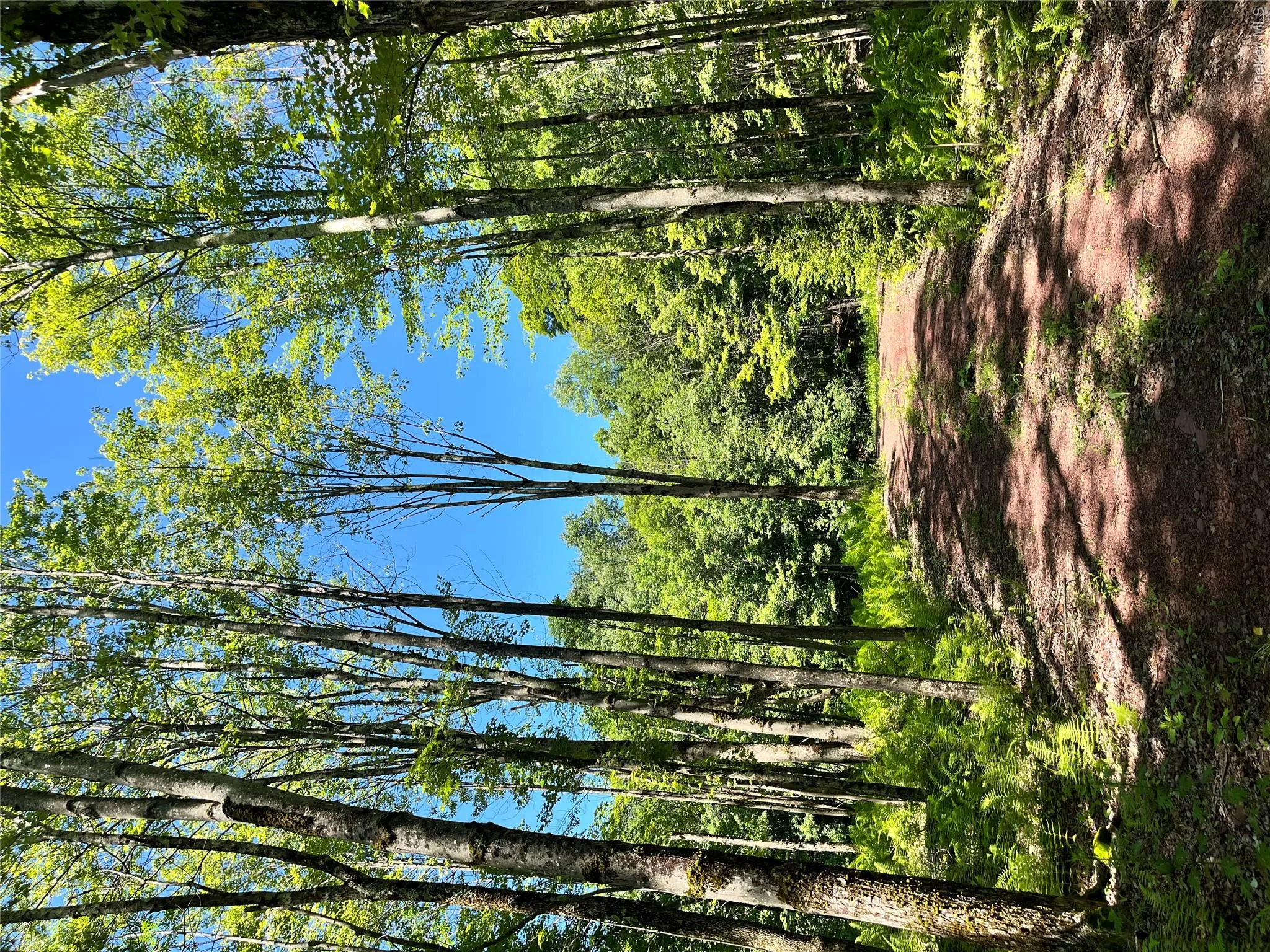 Upper Pond Dahlia Road, Liberty, NY, ,Land,For Rent,Dahlia,0,1024035 Upper Pond Dahlia Road, Liberty, NY, ,Land,For Rent,Dahlia,0,1024035
