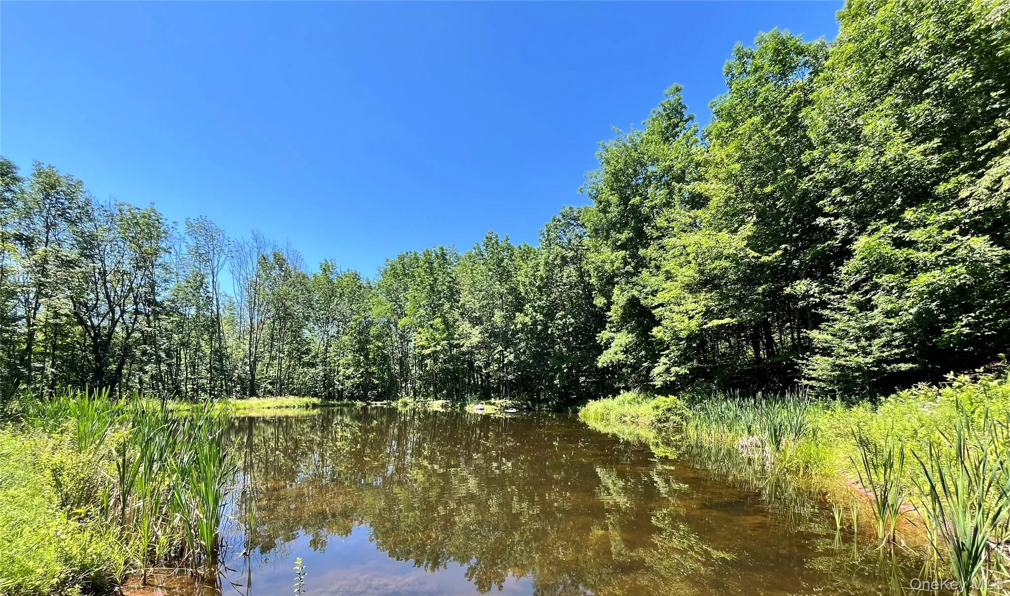 Upper Pond Dahlia Road, Liberty, NY, ,Land,For Rent,Dahlia,0,1024035 Upper Pond Dahlia Road, Liberty, NY, ,Land,For Rent,Dahlia,0,1024035