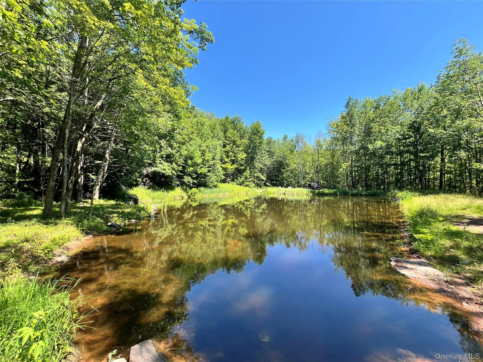 Upper Pond Dahlia Road, Liberty, NY, ,Land,For Rent,Dahlia,0,1024035 Upper Pond Dahlia Road, Liberty, NY, ,Land,For Rent,Dahlia,0,1024035