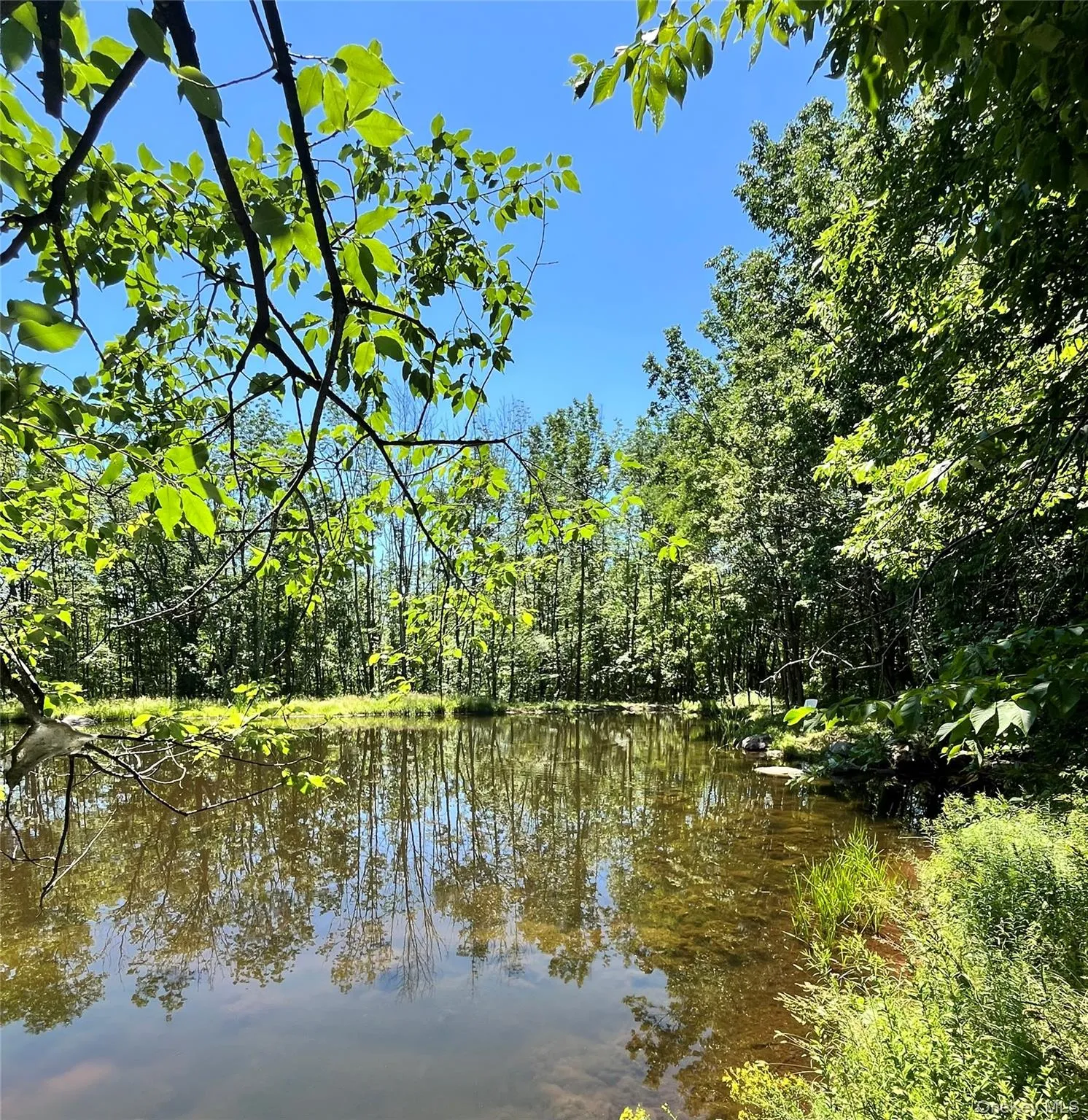 Upper Pond Dahlia Road, Liberty, NY, ,Land,For Rent,Dahlia,0,1024035 Upper Pond Dahlia Road, Liberty, NY, ,Land,For Rent,Dahlia,0,1024035