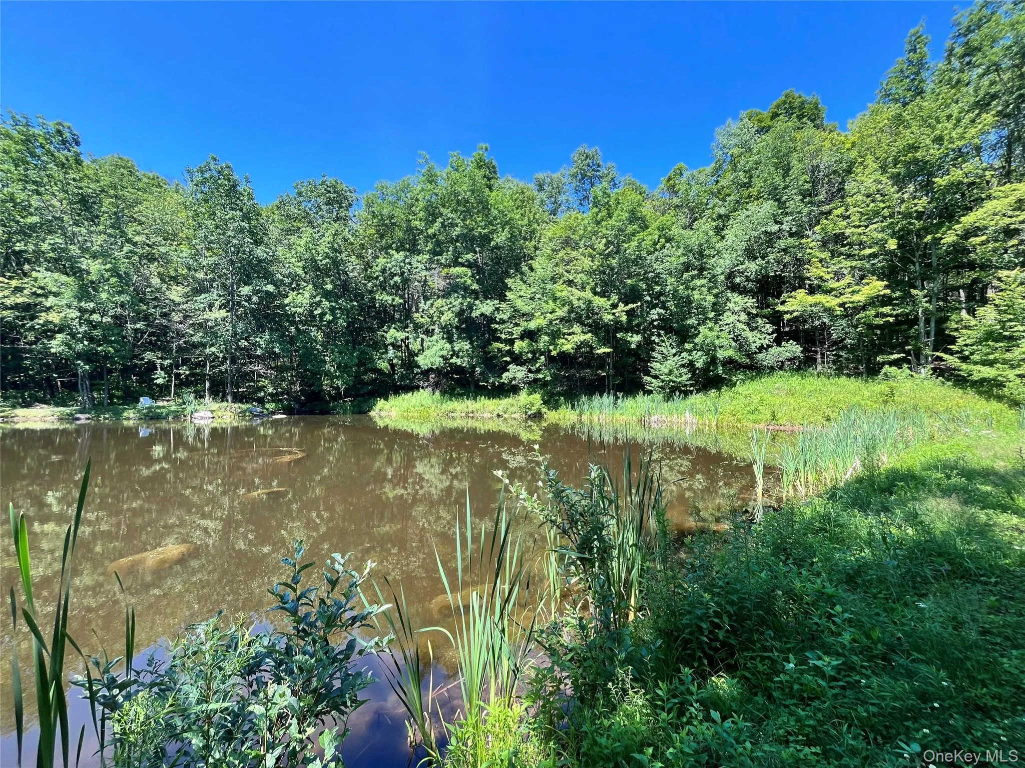 Upper Pond Dahlia Road, Liberty, NY, ,Land,For Rent,Dahlia,0,1024035 Upper Pond Dahlia Road, Liberty, NY, ,Land,For Rent,Dahlia,0,1024035