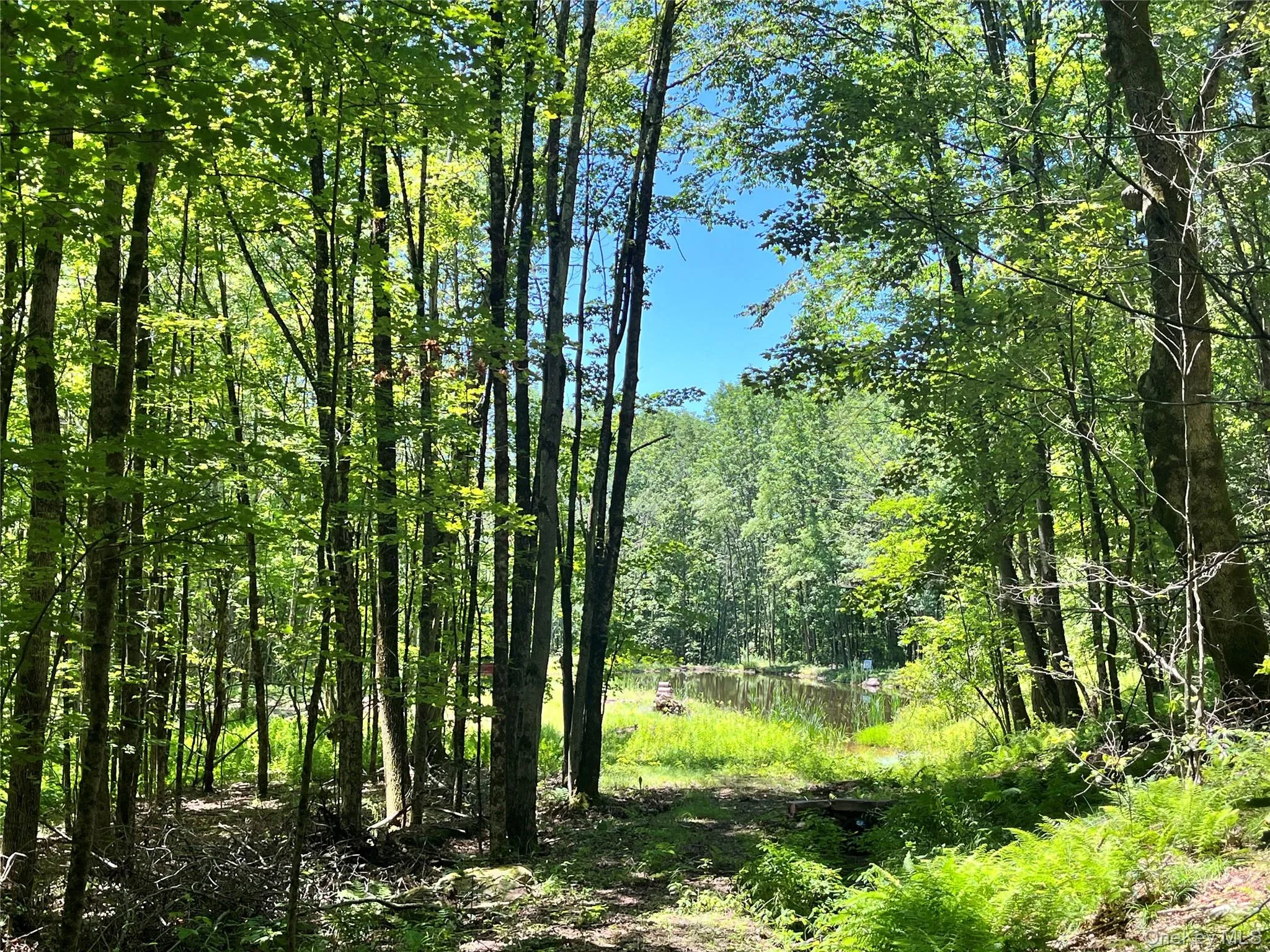 Upper Pond Dahlia Road, Liberty, NY, ,Land,For Rent,Dahlia,0,1024035 Upper Pond Dahlia Road, Liberty, NY, ,Land,For Rent,Dahlia,0,1024035