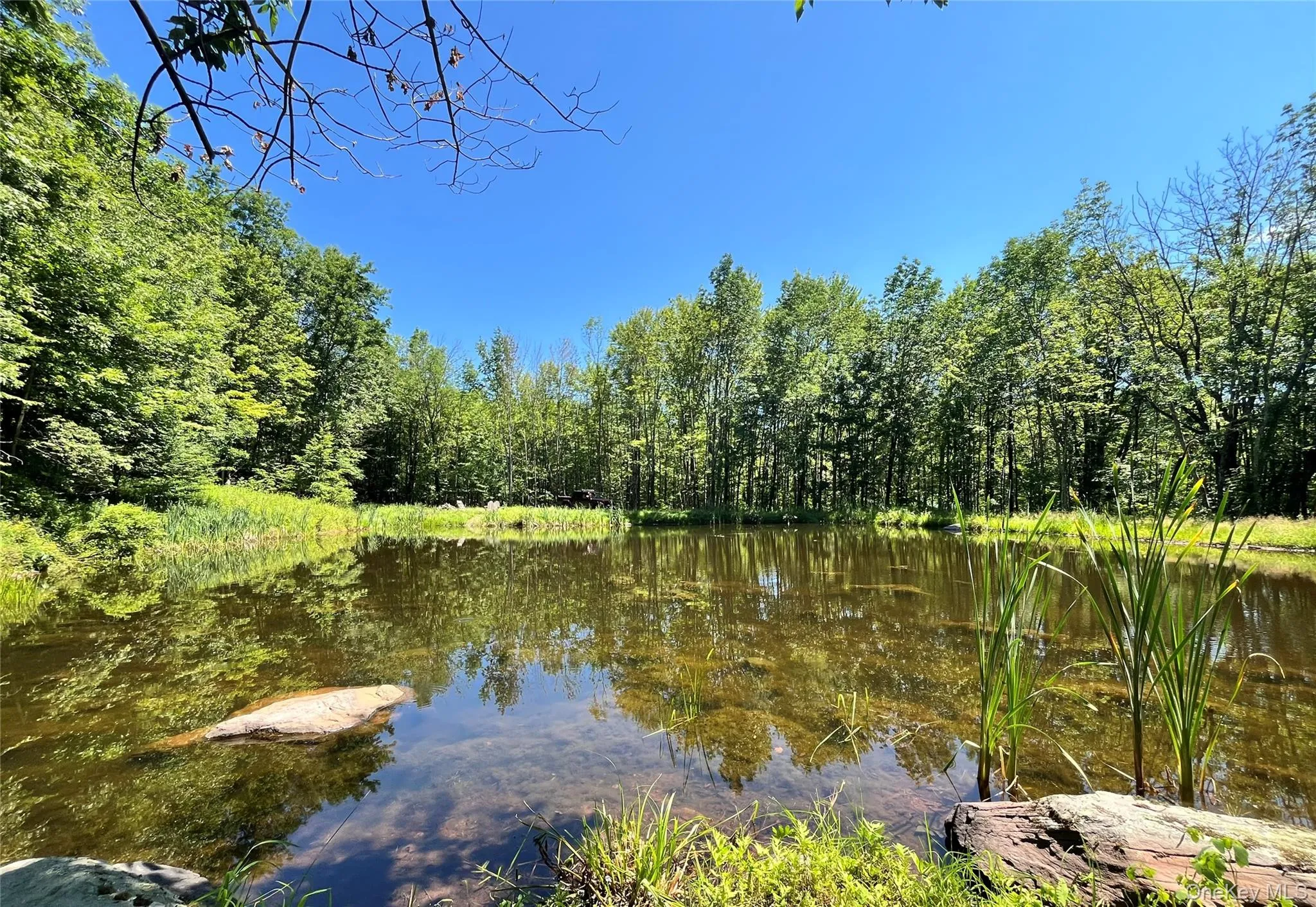 Upper Pond Dahlia Road, Liberty, NY, ,Land,For Rent,Dahlia,0,1024035 Upper Pond Dahlia Road, Liberty, NY, ,Land,For Rent,Dahlia,0,1024035