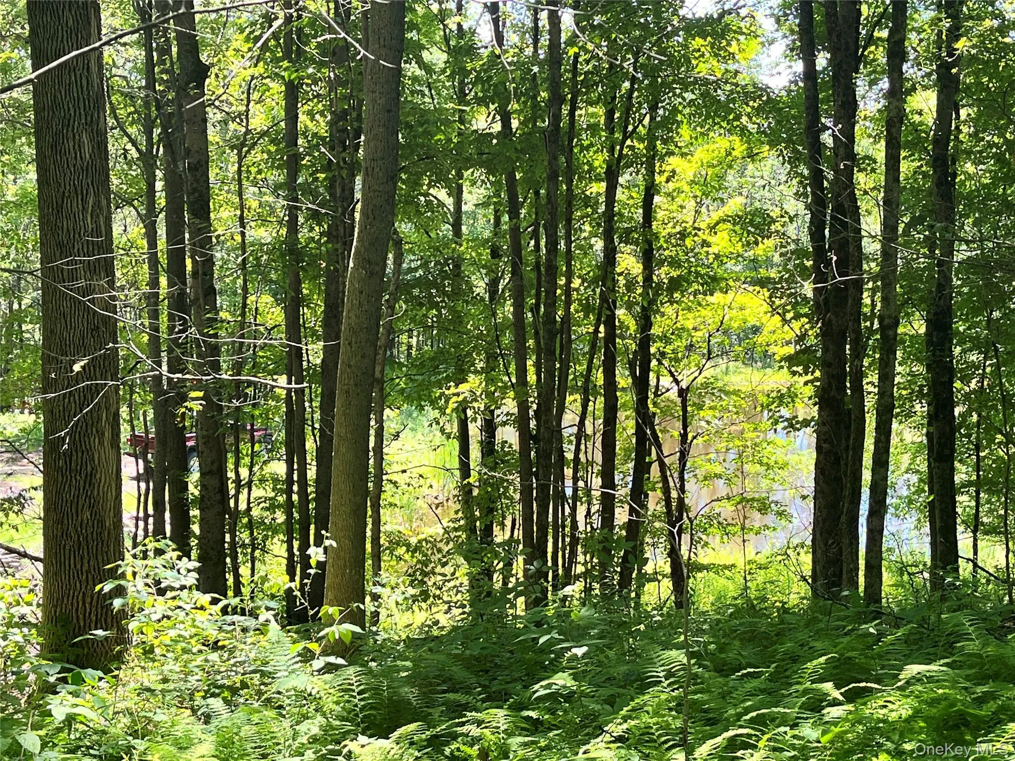 Upper Pond Dahlia Road, Liberty, NY, ,Land,For Rent,Dahlia,0,1024035 Upper Pond Dahlia Road, Liberty, NY, ,Land,For Rent,Dahlia,0,1024035