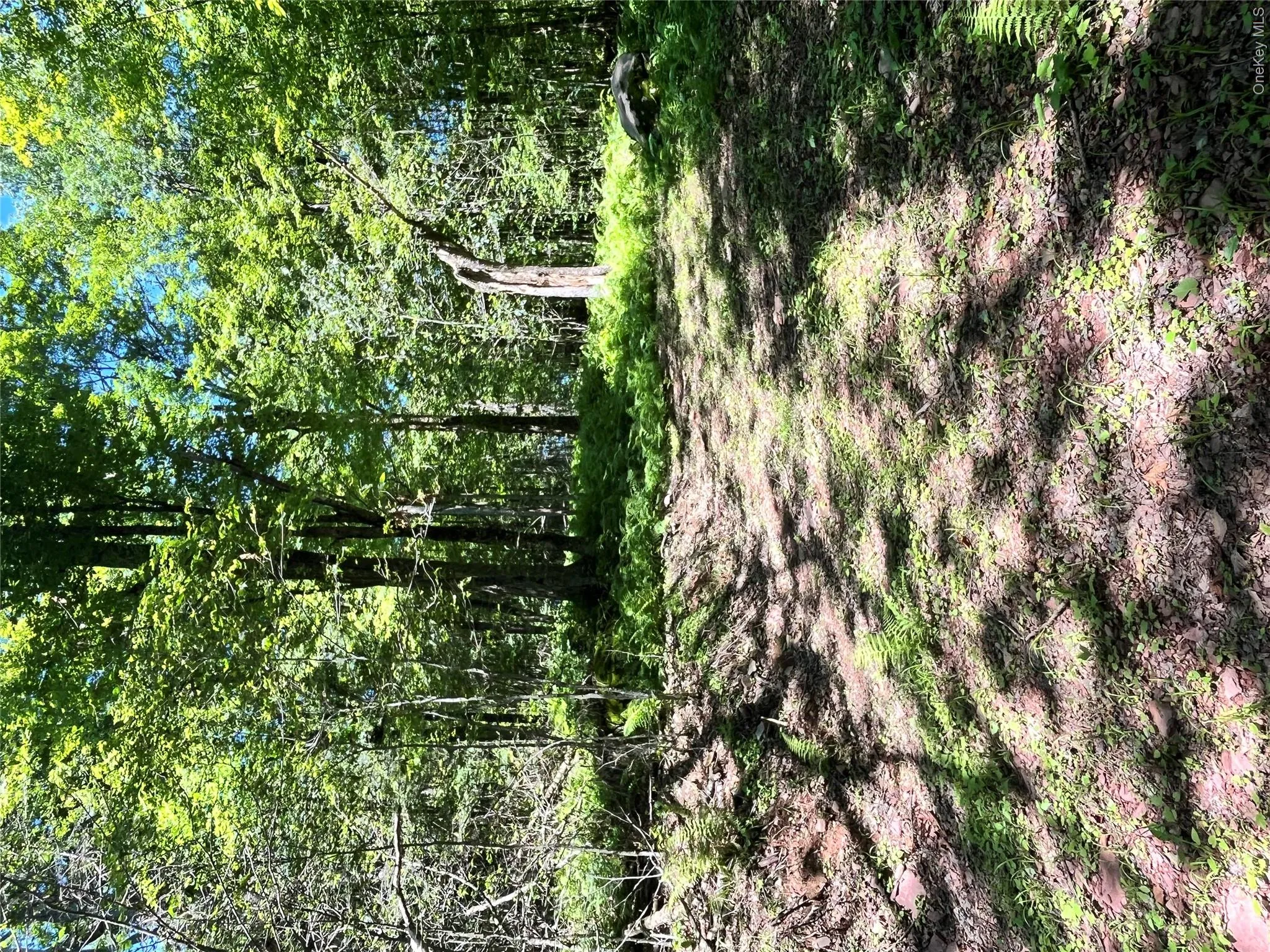 Upper Pond Dahlia Road, Liberty, NY, ,Land,For Rent,Dahlia,0,1024035 Upper Pond Dahlia Road, Liberty, NY, ,Land,For Rent,Dahlia,0,1024035
