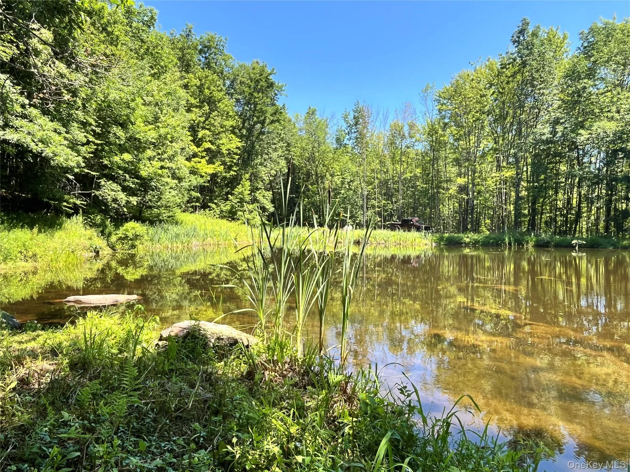 Upper Pond Dahlia Road, Liberty, NY, ,Land,For Rent,Dahlia,0,1024035 Upper Pond Dahlia Road, Liberty, NY, ,Land,For Rent,Dahlia,0,1024035