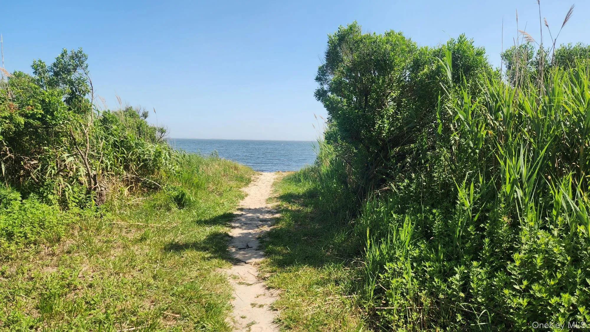 190 Pine Neck Avenue, Brookhaven, NY, 4 Bedrooms Bedrooms, 8 Rooms Rooms,1 BathroomBathrooms,Residential,For Rent,Pine Neck,0,1024074 190 Pine Neck Avenue, Brookhaven, NY, 4 Bedrooms Bedrooms, 8 Rooms Rooms,1 BathroomBathrooms,Residential,For Rent,Pine Neck,0,1024074