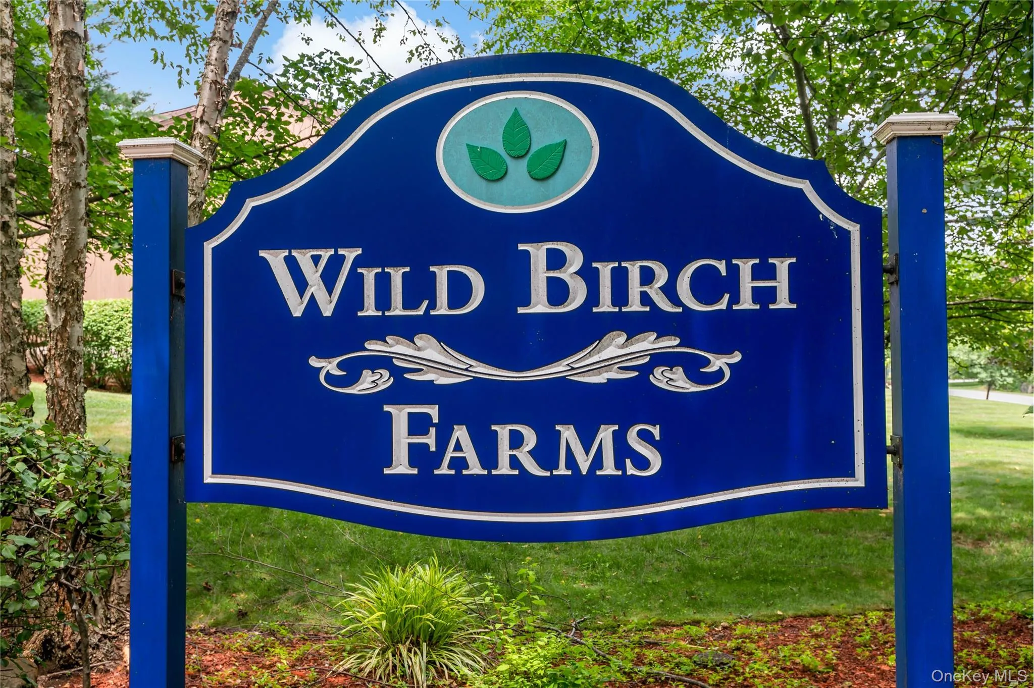 95 Wild Birch Farms, Cortlandt, NY, 3 Bedrooms Bedrooms, 6 Rooms Rooms,2 BathroomsBathrooms,Residential,For Rent,Wild Birch Farms,0,1024101 95 Wild Birch Farms, Cortlandt, NY, 3 Bedrooms Bedrooms, 6 Rooms Rooms,2 BathroomsBathrooms,Residential,For Rent,Wild Birch Farms,0,1024101