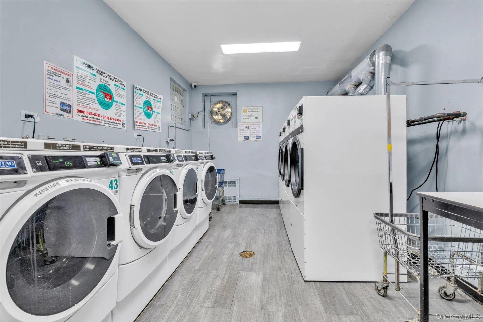 1199 53rd Street, New York, NY, 1 Bedroom Bedrooms, 3 Rooms Rooms,1 BathroomBathrooms,Residential,For Rent,53rd,0,1024184 1199 53rd Street, New York, NY, 1 Bedroom Bedrooms, 3 Rooms Rooms,1 BathroomBathrooms,Residential,For Rent,53rd,0,1024184
