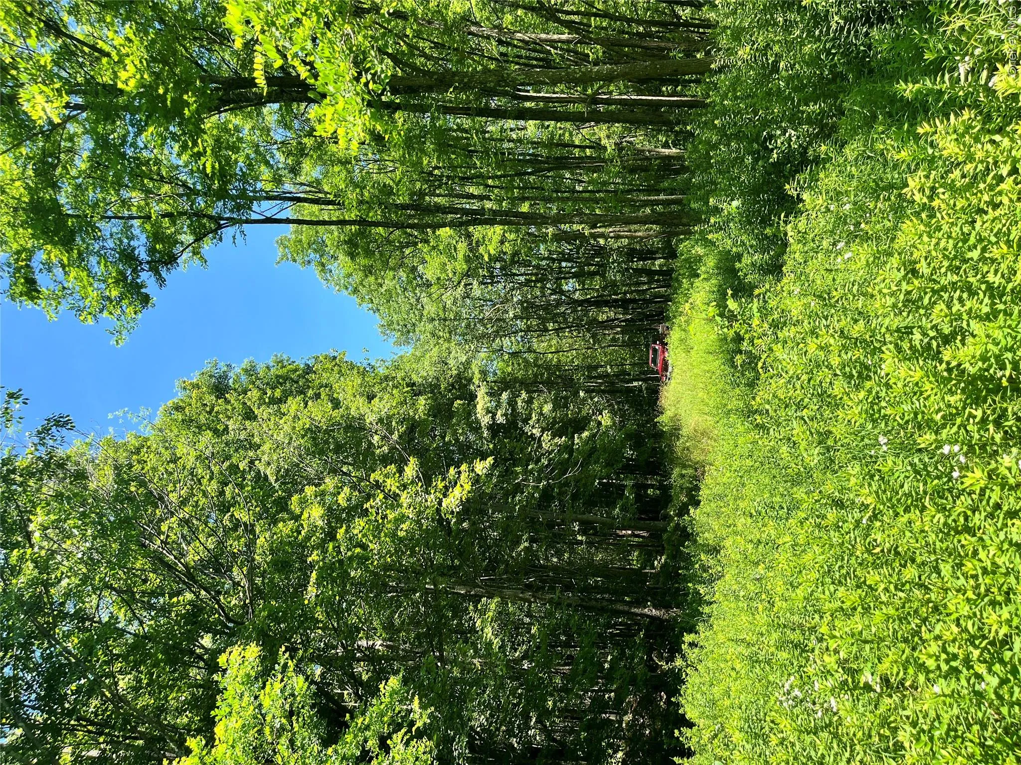 Lower Pond Dahlia Road, Liberty, NY, ,Land,For Rent,Dahlia,0,1024192 Lower Pond Dahlia Road, Liberty, NY, ,Land,For Rent,Dahlia,0,1024192