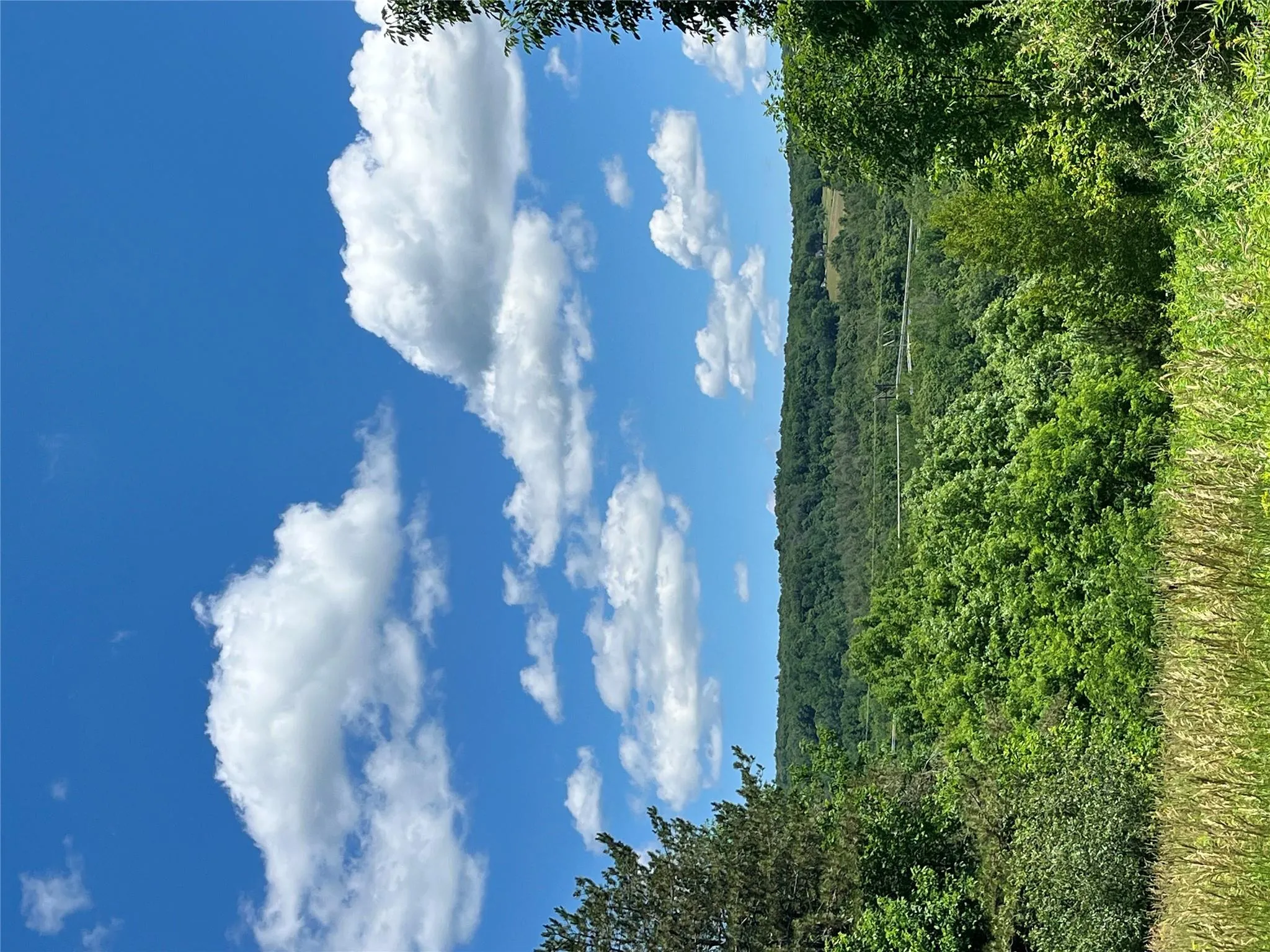 Lower Pond Dahlia Road, Liberty, NY, ,Land,For Rent,Dahlia,0,1024192 Lower Pond Dahlia Road, Liberty, NY, ,Land,For Rent,Dahlia,0,1024192