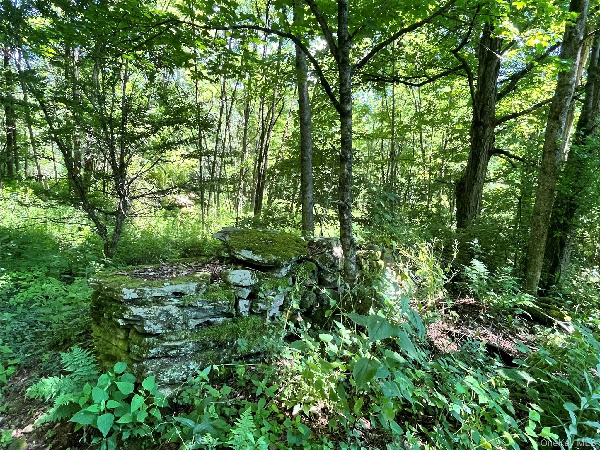 Lower Pond Dahlia Road, Liberty, NY, ,Land,For Rent,Dahlia,0,1024192 Lower Pond Dahlia Road, Liberty, NY, ,Land,For Rent,Dahlia,0,1024192