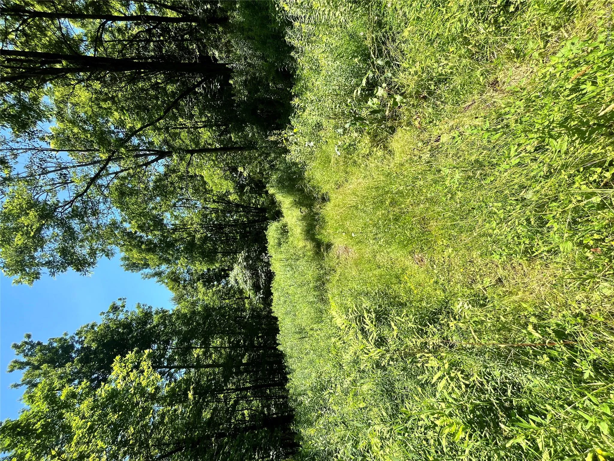 Lower Pond Dahlia Road, Liberty, NY, ,Land,For Rent,Dahlia,0,1024192 Lower Pond Dahlia Road, Liberty, NY, ,Land,For Rent,Dahlia,0,1024192