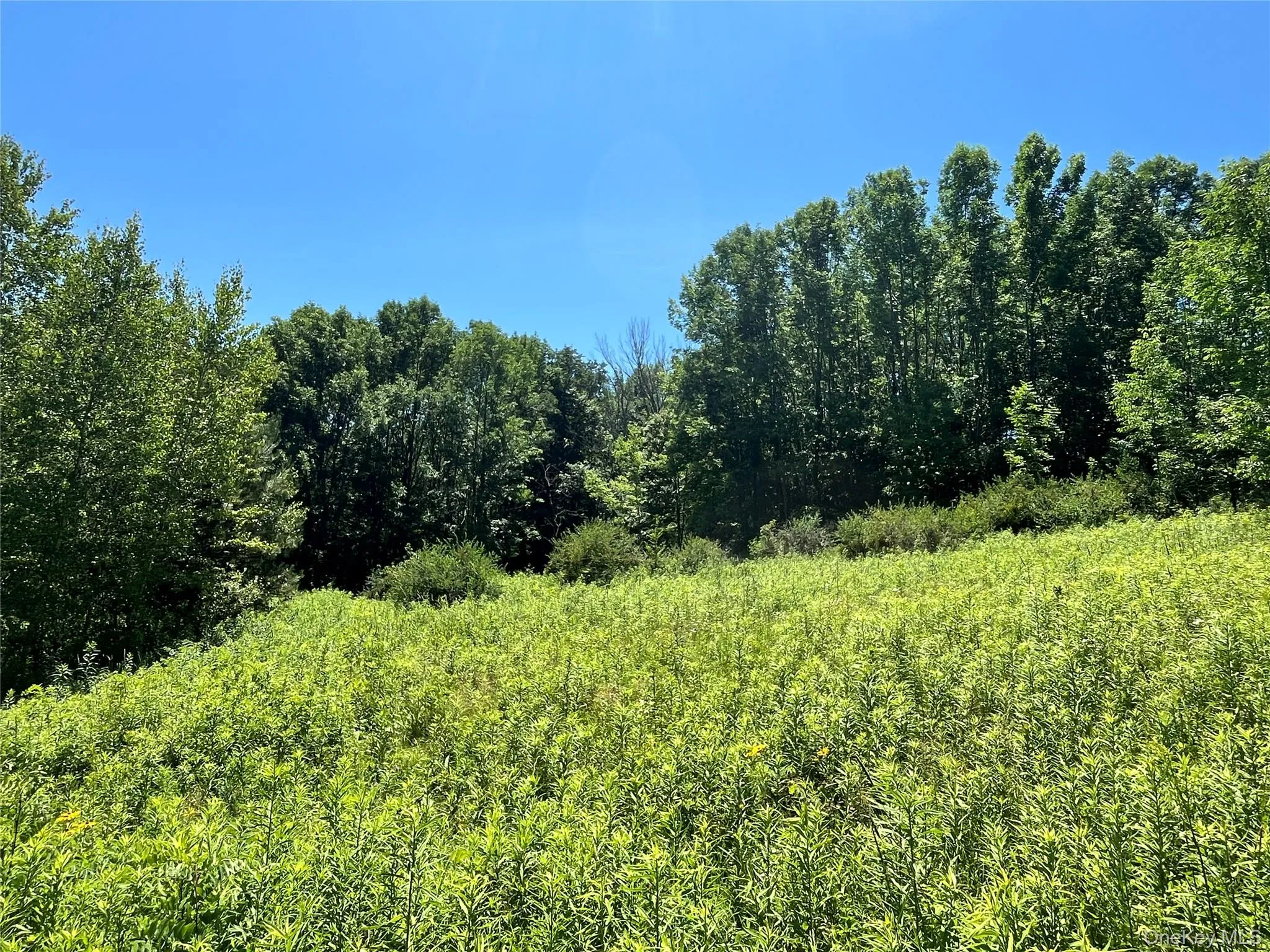 Lower Pond Dahlia Road, Liberty, NY, ,Land,For Rent,Dahlia,0,1024192 Lower Pond Dahlia Road, Liberty, NY, ,Land,For Rent,Dahlia,0,1024192