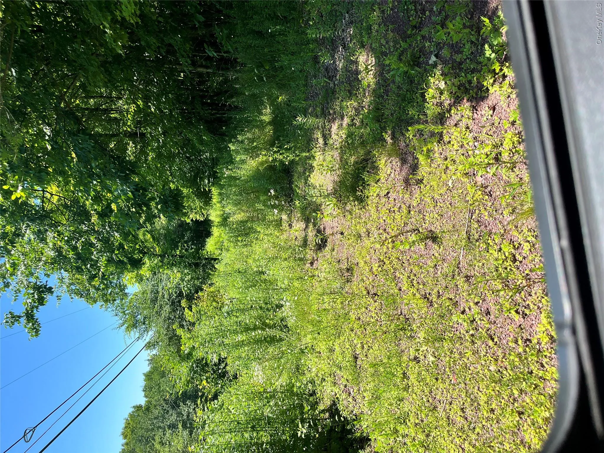 Lower Pond Dahlia Road, Liberty, NY, ,Land,For Rent,Dahlia,0,1024192 Lower Pond Dahlia Road, Liberty, NY, ,Land,For Rent,Dahlia,0,1024192