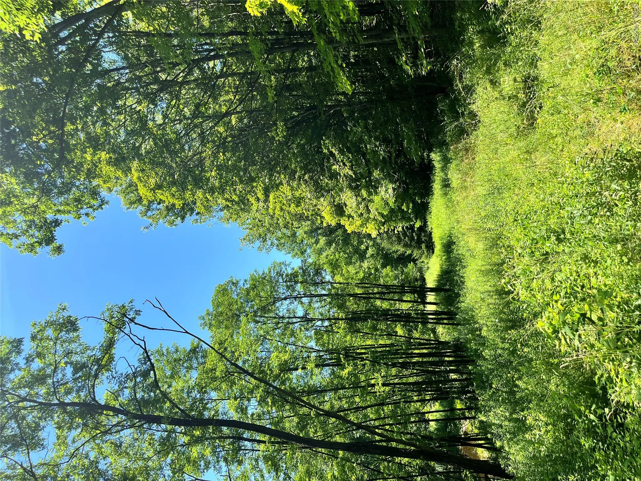 Lower Pond Dahlia Road, Liberty, NY, ,Land,For Rent,Dahlia,0,1024192 Lower Pond Dahlia Road, Liberty, NY, ,Land,For Rent,Dahlia,0,1024192
