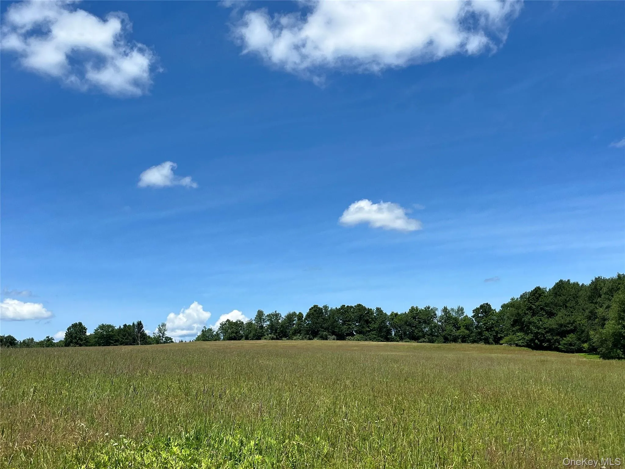Lower Pond Dahlia Road, Liberty, NY, ,Land,For Rent,Dahlia,0,1024192 Lower Pond Dahlia Road, Liberty, NY, ,Land,For Rent,Dahlia,0,1024192