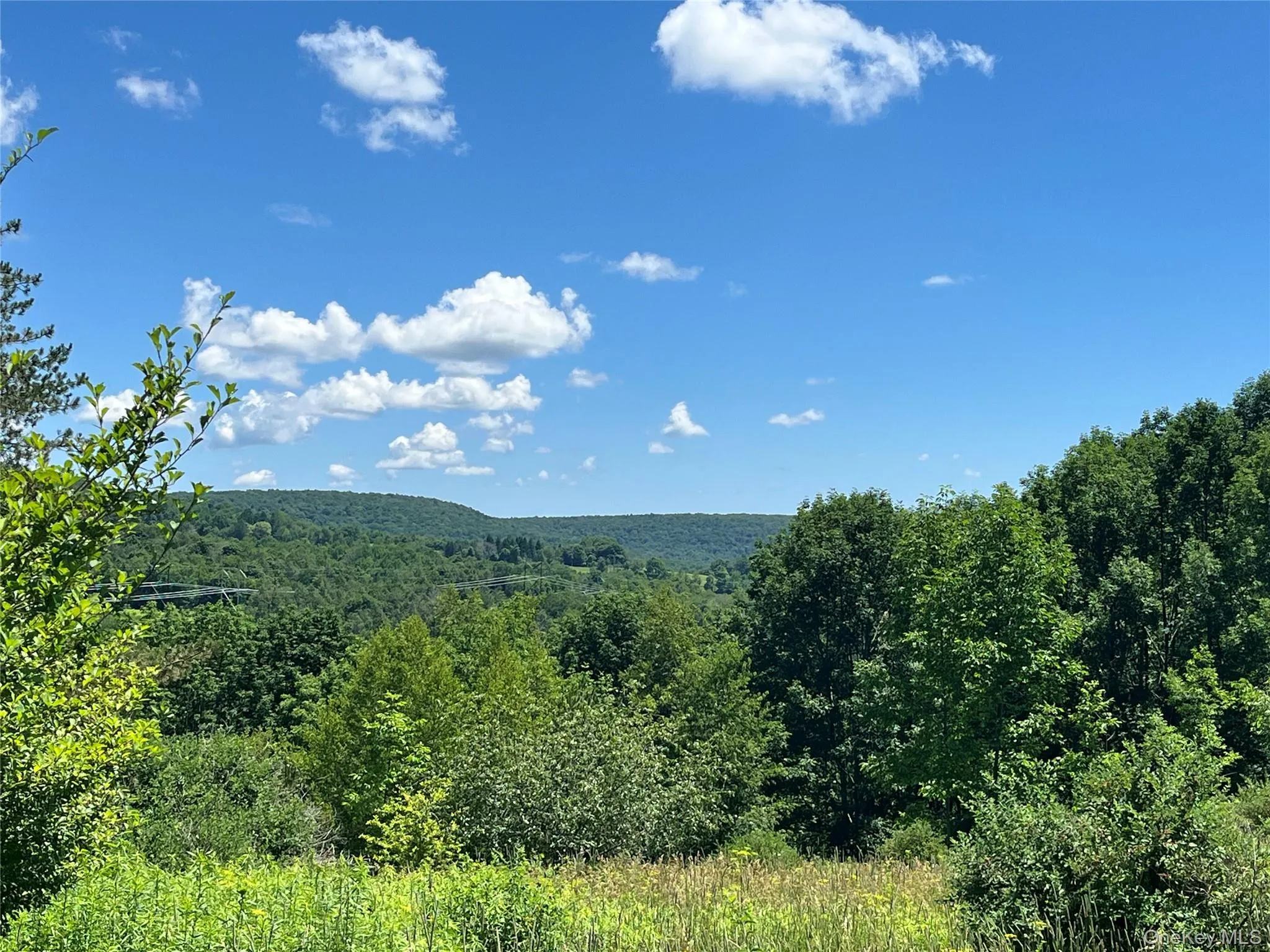 Lower Pond Dahlia Road, Liberty, NY, ,Land,For Rent,Dahlia,0,1024192 Lower Pond Dahlia Road, Liberty, NY, ,Land,For Rent,Dahlia,0,1024192