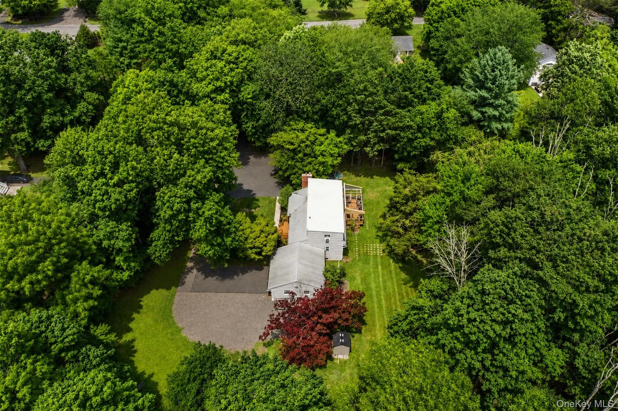 59 Smith Hill Road, Ramapo, NY, 5 Bedrooms Bedrooms, 11 Rooms Rooms,3 BathroomsBathrooms,Residential,For Rent,Smith Hill,0,1024246 59 Smith Hill Road, Ramapo, NY, 5 Bedrooms Bedrooms, 11 Rooms Rooms,3 BathroomsBathrooms,Residential,For Rent,Smith Hill,0,1024246