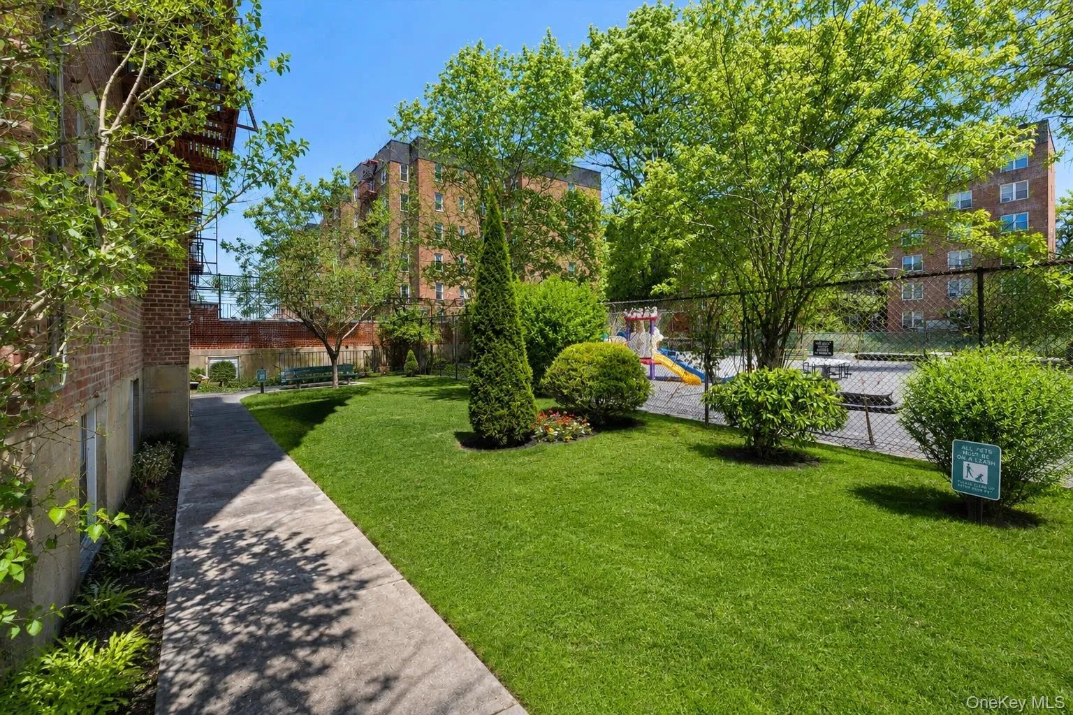 33-35 81 Street, New York, NY, 3 Rooms Rooms,1 BathroomBathrooms,Residential,For Rent,81,0,1024247 33-35 81 Street, New York, NY, 3 Rooms Rooms,1 BathroomBathrooms,Residential,For Rent,81,0,1024247