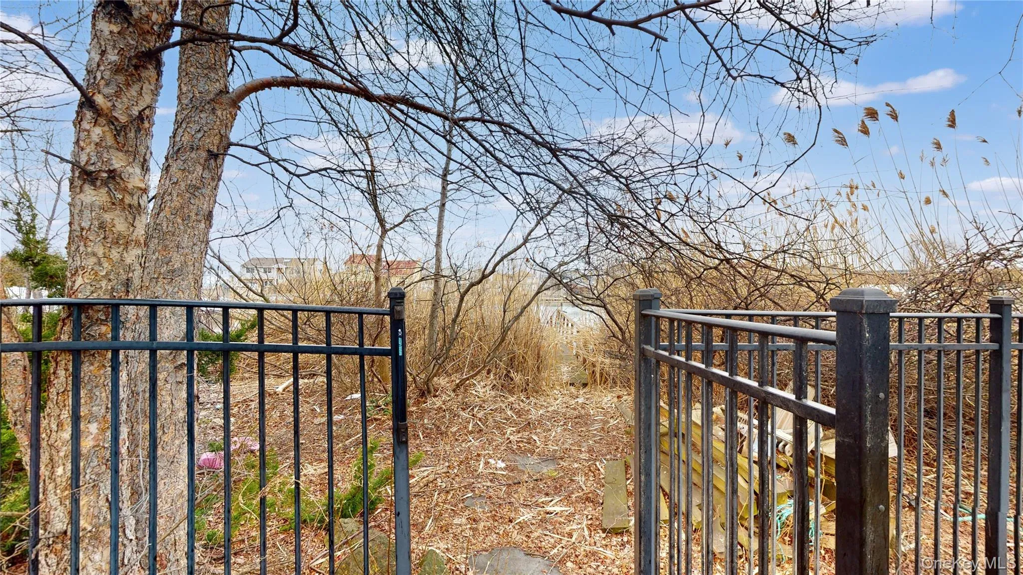 Wrought iron-style fencing with a gated entry, mature tree, and natural landscape Wrought iron-style fencing with a gated entry, mature tree, and natural landscape