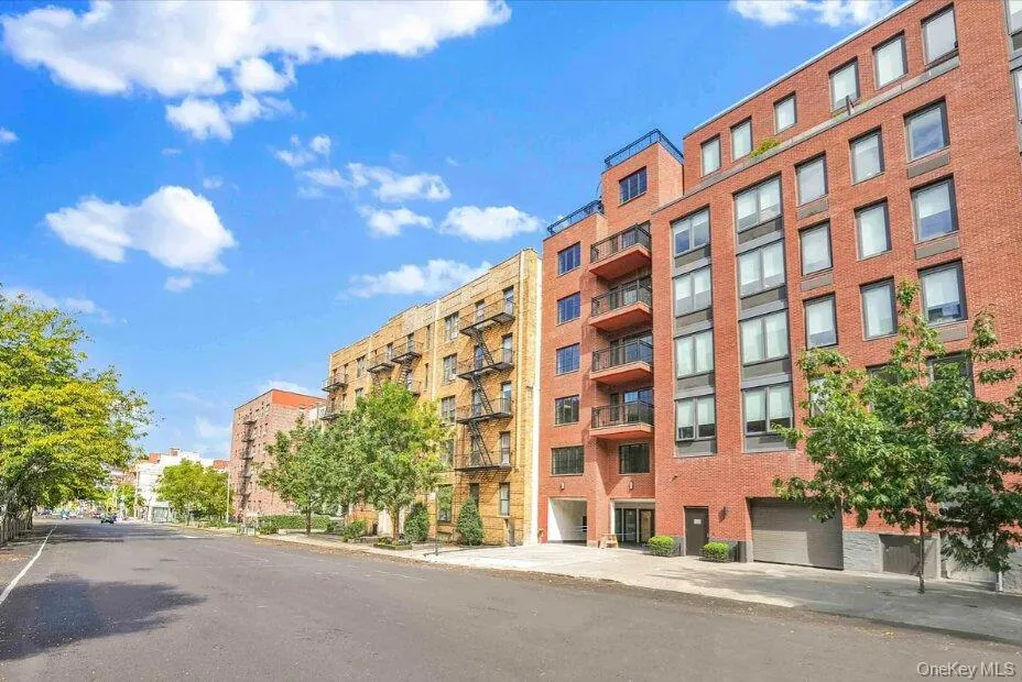 2525 31st Avenue, New York, NY, 1 Bedroom Bedrooms, 3 Rooms Rooms,1 BathroomBathrooms,Residential,For Rent,31st,0,1024264 2525 31st Avenue, New York, NY, 1 Bedroom Bedrooms, 3 Rooms Rooms,1 BathroomBathrooms,Residential,For Rent,31st,0,1024264