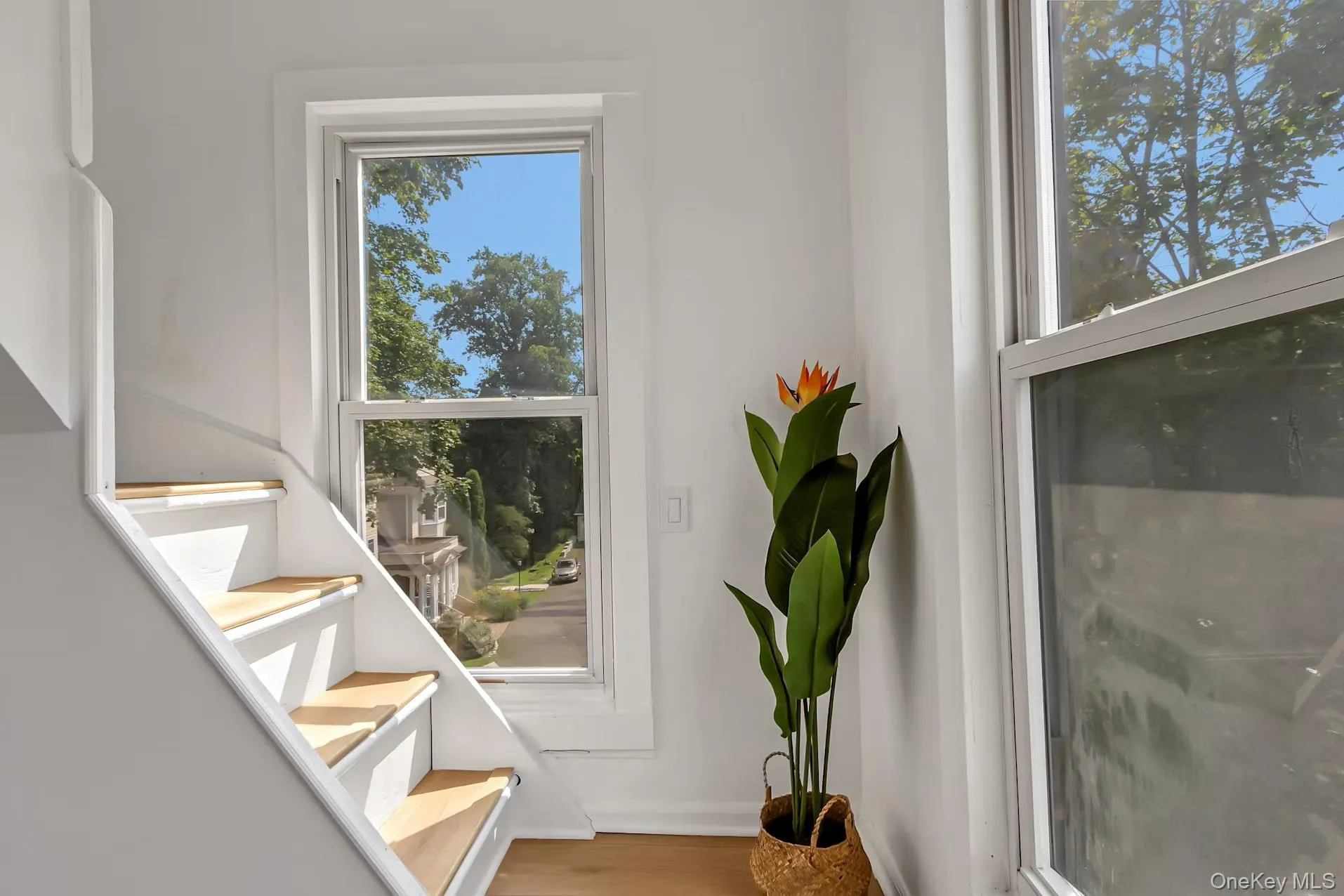169 Broadway, Orangetown, NY, 2 Bedrooms Bedrooms, 6 Rooms Rooms,2 BathroomsBathrooms,Residential Lease,For Rent,Broadway,0,1024266 169 Broadway, Orangetown, NY, 2 Bedrooms Bedrooms, 6 Rooms Rooms,2 BathroomsBathrooms,Residential Lease,For Rent,Broadway,0,1024266