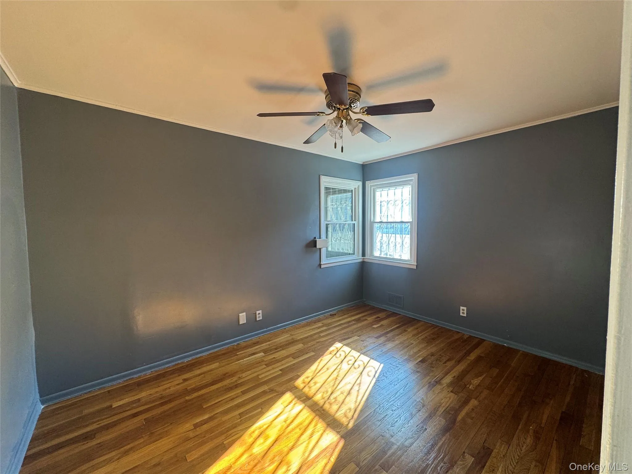 22518 Conduit Avenue, New York, NY, 1 Bedroom Bedrooms, 1 Room Rooms,1 BathroomBathrooms,Residential Lease,For Rent,Conduit,0,1024306 22518 Conduit Avenue, New York, NY, 1 Bedroom Bedrooms, 1 Room Rooms,1 BathroomBathrooms,Residential Lease,For Rent,Conduit,0,1024306