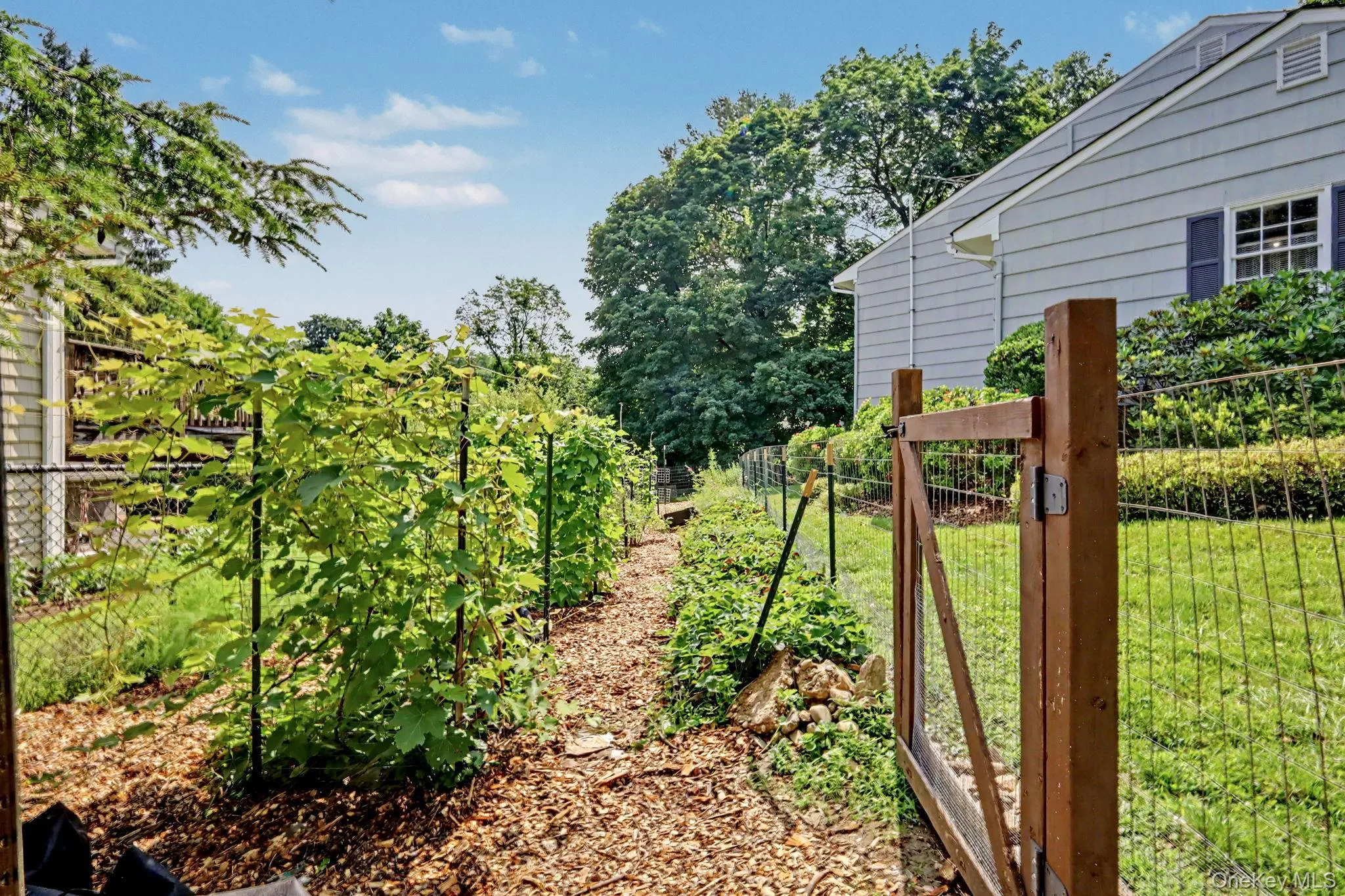 49 Ridge Lane, New Castle, NY, 4 Bedrooms Bedrooms, 10 Rooms Rooms,2 BathroomsBathrooms,Residential,For Rent,Ridge,0,1024331 49 Ridge Lane, New Castle, NY, 4 Bedrooms Bedrooms, 10 Rooms Rooms,2 BathroomsBathrooms,Residential,For Rent,Ridge,0,1024331