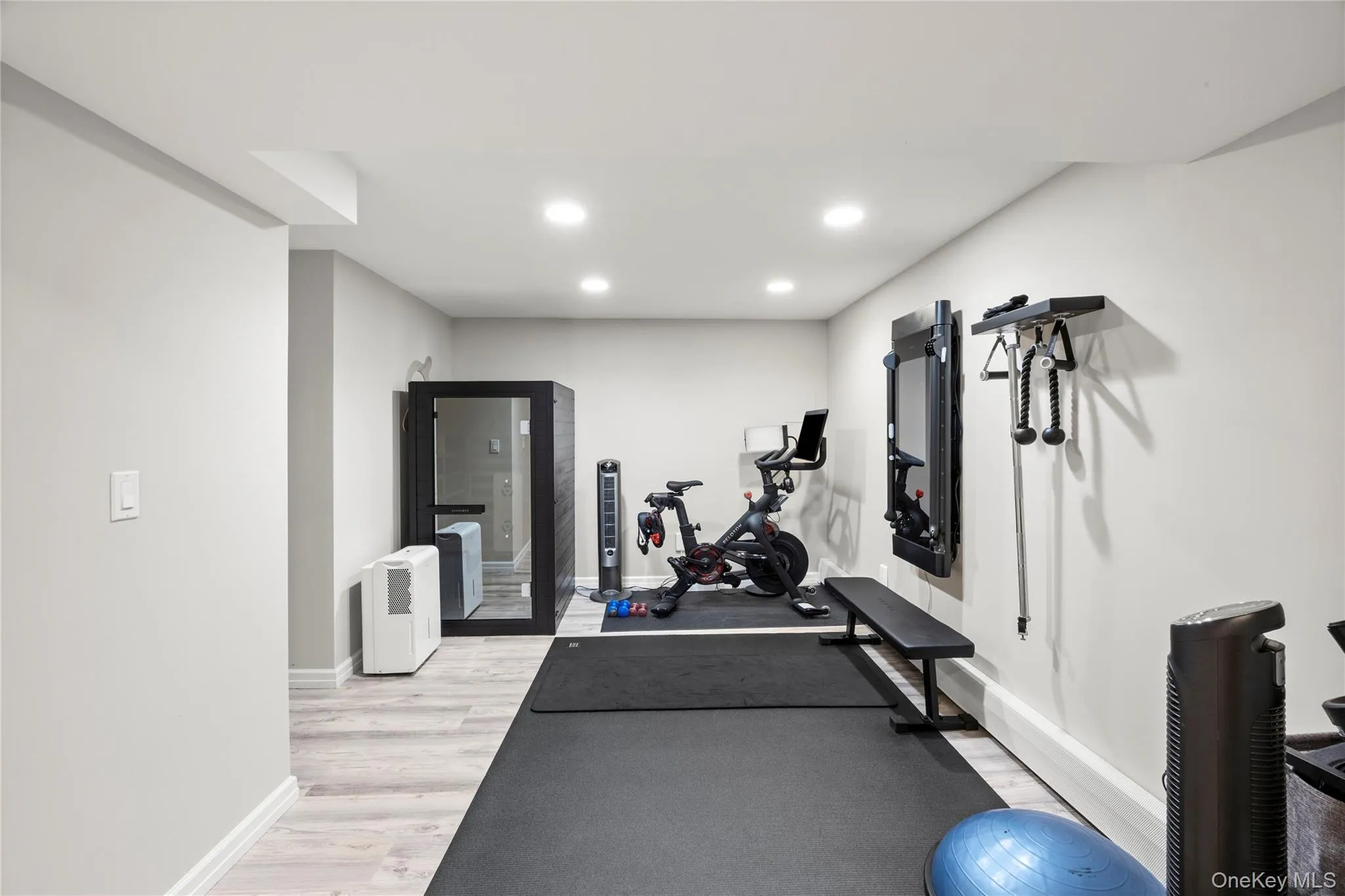 Gym Area Gym Area