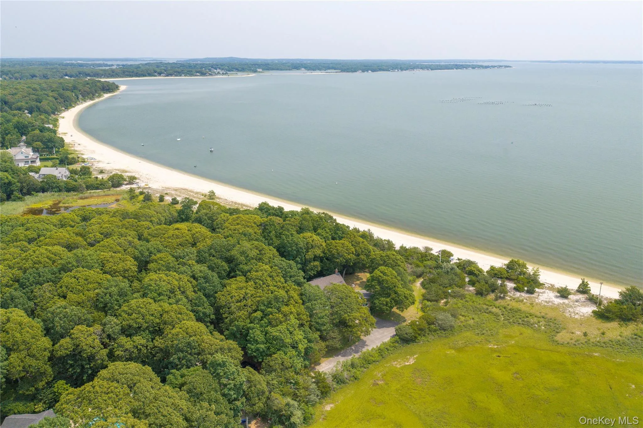 Expansive waterfront property featuring a private sandy beach, dense mature trees, and a substantial land parcel Expansive waterfront property featuring a private sandy beach, dense mature trees, and a substantial land parcel