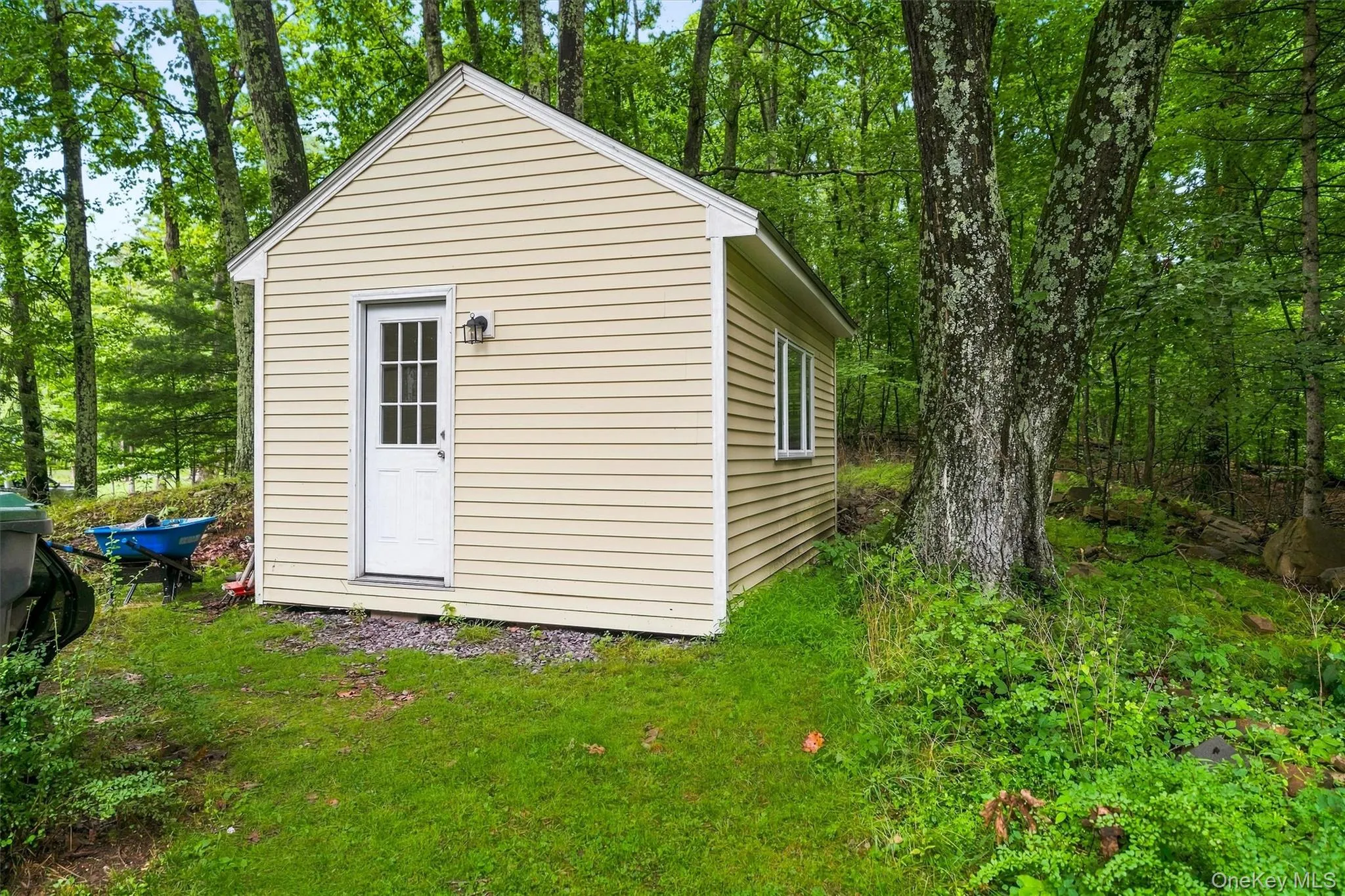 Shed Shed