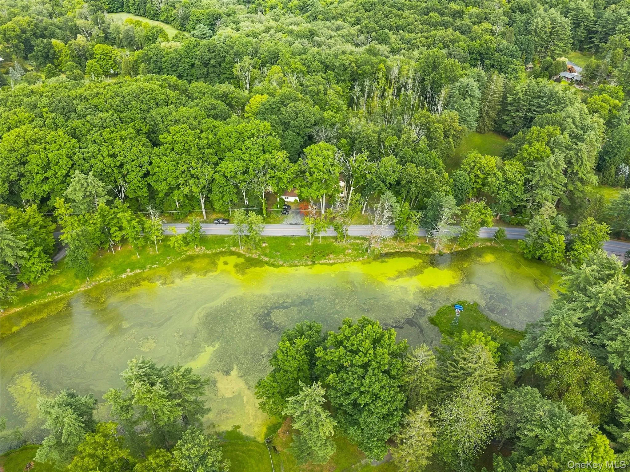 168 Shawangunk Road, Mount Hope, NY, 3 Bedrooms Bedrooms, 8 Rooms Rooms,2 BathroomsBathrooms,Residential,For Rent,Shawangunk,0,1024368 168 Shawangunk Road, Mount Hope, NY, 3 Bedrooms Bedrooms, 8 Rooms Rooms,2 BathroomsBathrooms,Residential,For Rent,Shawangunk,0,1024368