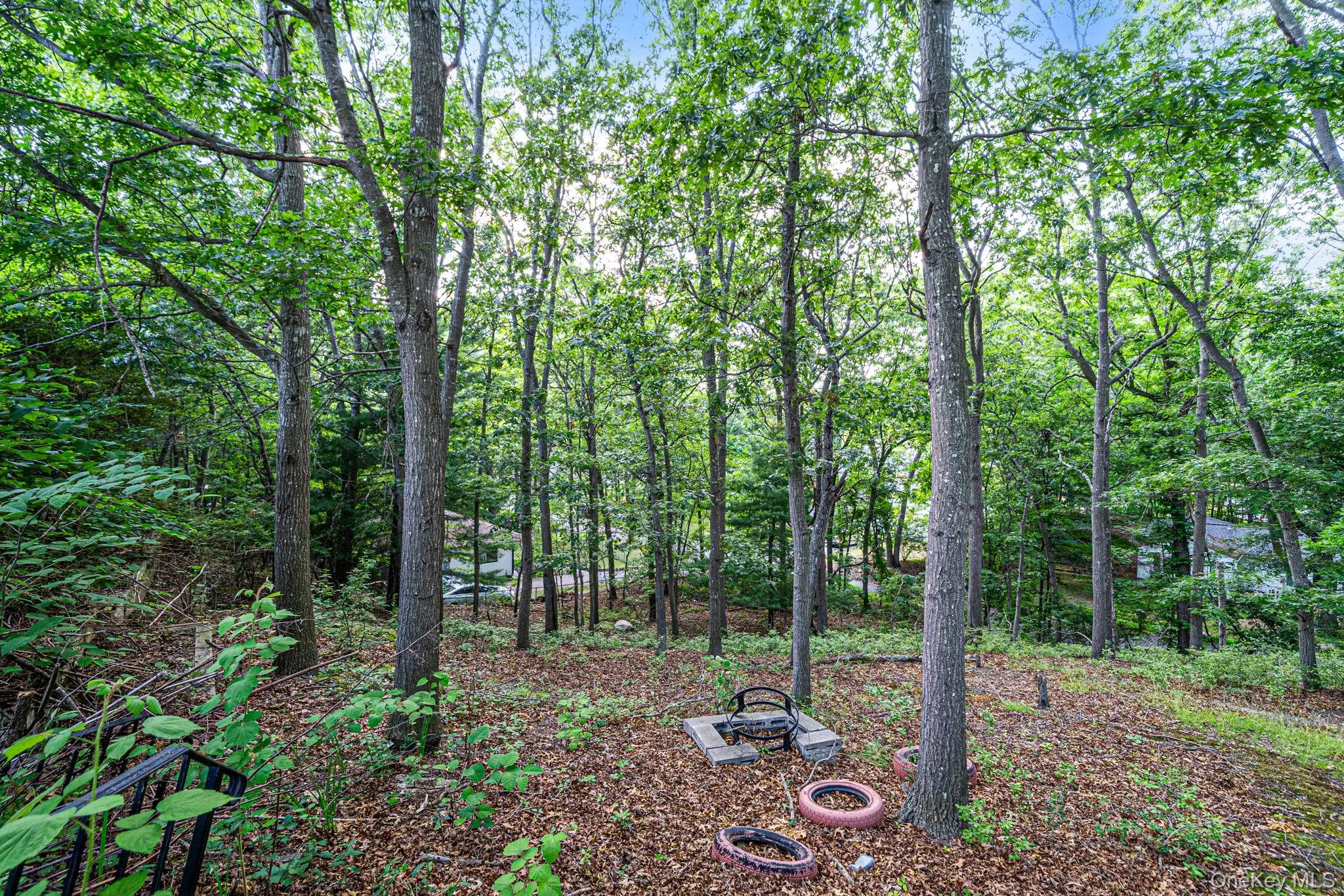 49 Barbara Lane, Brookhaven, NY, 3 Bedrooms Bedrooms, 7 Rooms Rooms,2 BathroomsBathrooms,Residential,For Rent,Barbara,0,1024424 49 Barbara Lane, Brookhaven, NY, 3 Bedrooms Bedrooms, 7 Rooms Rooms,2 BathroomsBathrooms,Residential,For Rent,Barbara,0,1024424