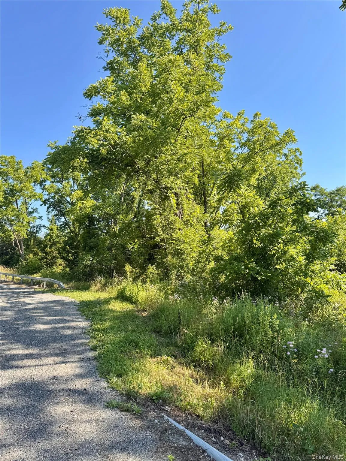 80 Fishkill Hook Road, East Fishkill, NY, ,Land,For Rent,Fishkill Hook,0,1024433 80 Fishkill Hook Road, East Fishkill, NY, ,Land,For Rent,Fishkill Hook,0,1024433