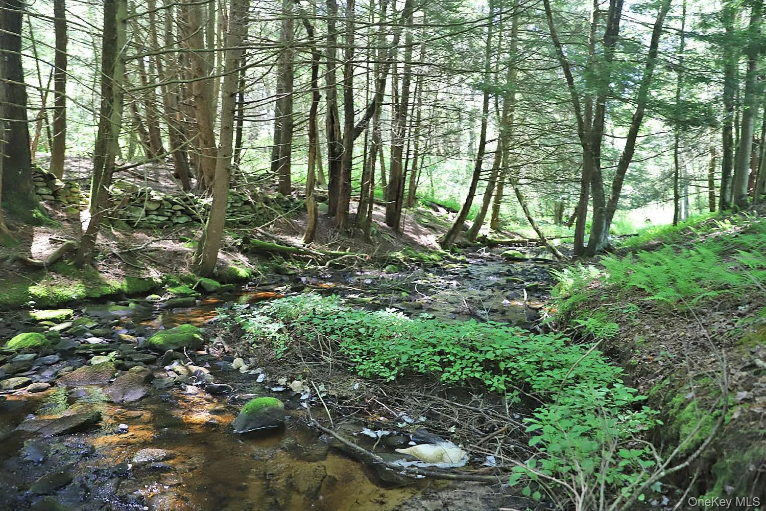 Lot 4A Hurd Road, Bethel, NY, ,Land,For Rent,Hurd,0,1024455 Lot 4A Hurd Road, Bethel, NY, ,Land,For Rent,Hurd,0,1024455