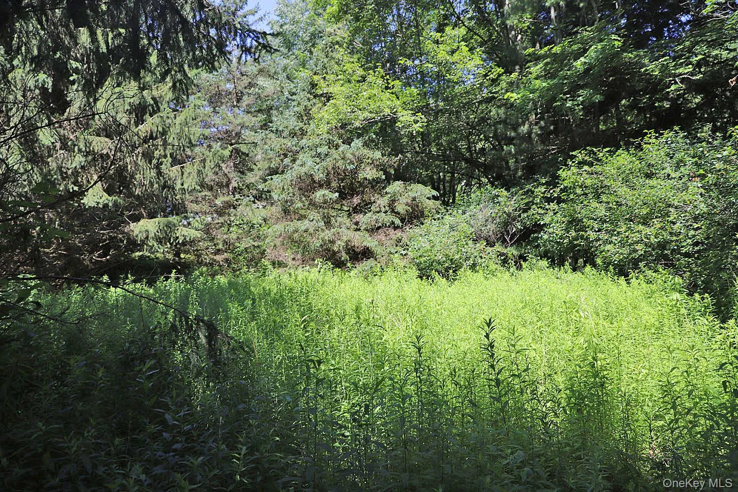 Lot 4A Hurd Road, Bethel, NY, ,Land,For Rent,Hurd,0,1024455 Lot 4A Hurd Road, Bethel, NY, ,Land,For Rent,Hurd,0,1024455