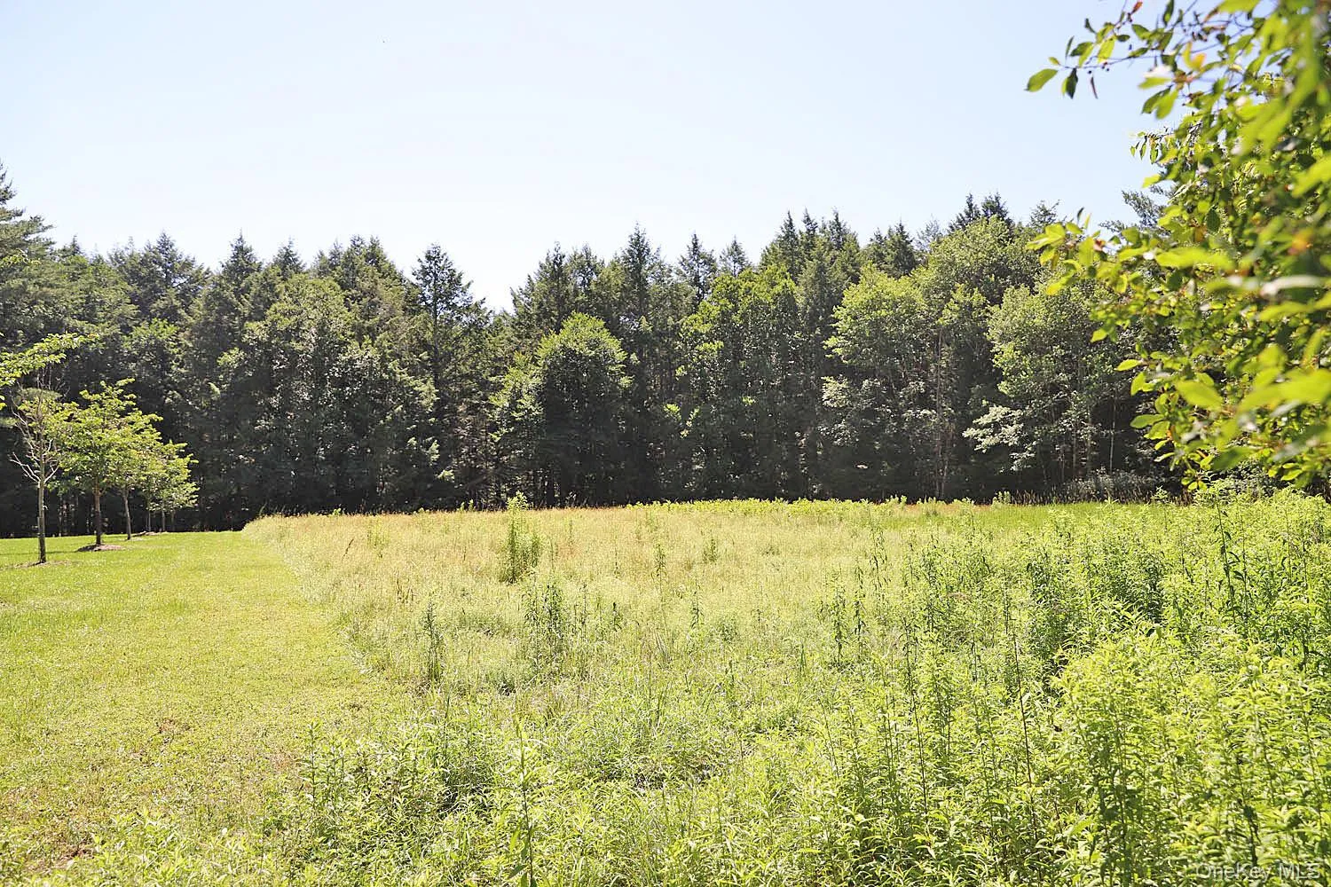 Lot 4A Hurd Road, Bethel, NY, ,Land,For Rent,Hurd,0,1024455 Lot 4A Hurd Road, Bethel, NY, ,Land,For Rent,Hurd,0,1024455