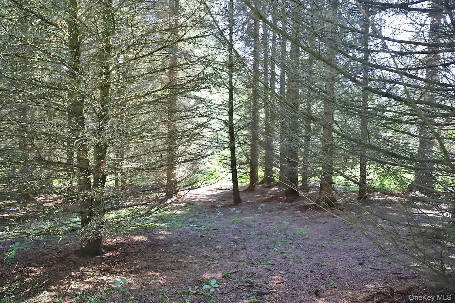 Lot 4A Hurd Road, Bethel, NY, ,Land,For Rent,Hurd,0,1024455 Lot 4A Hurd Road, Bethel, NY, ,Land,For Rent,Hurd,0,1024455