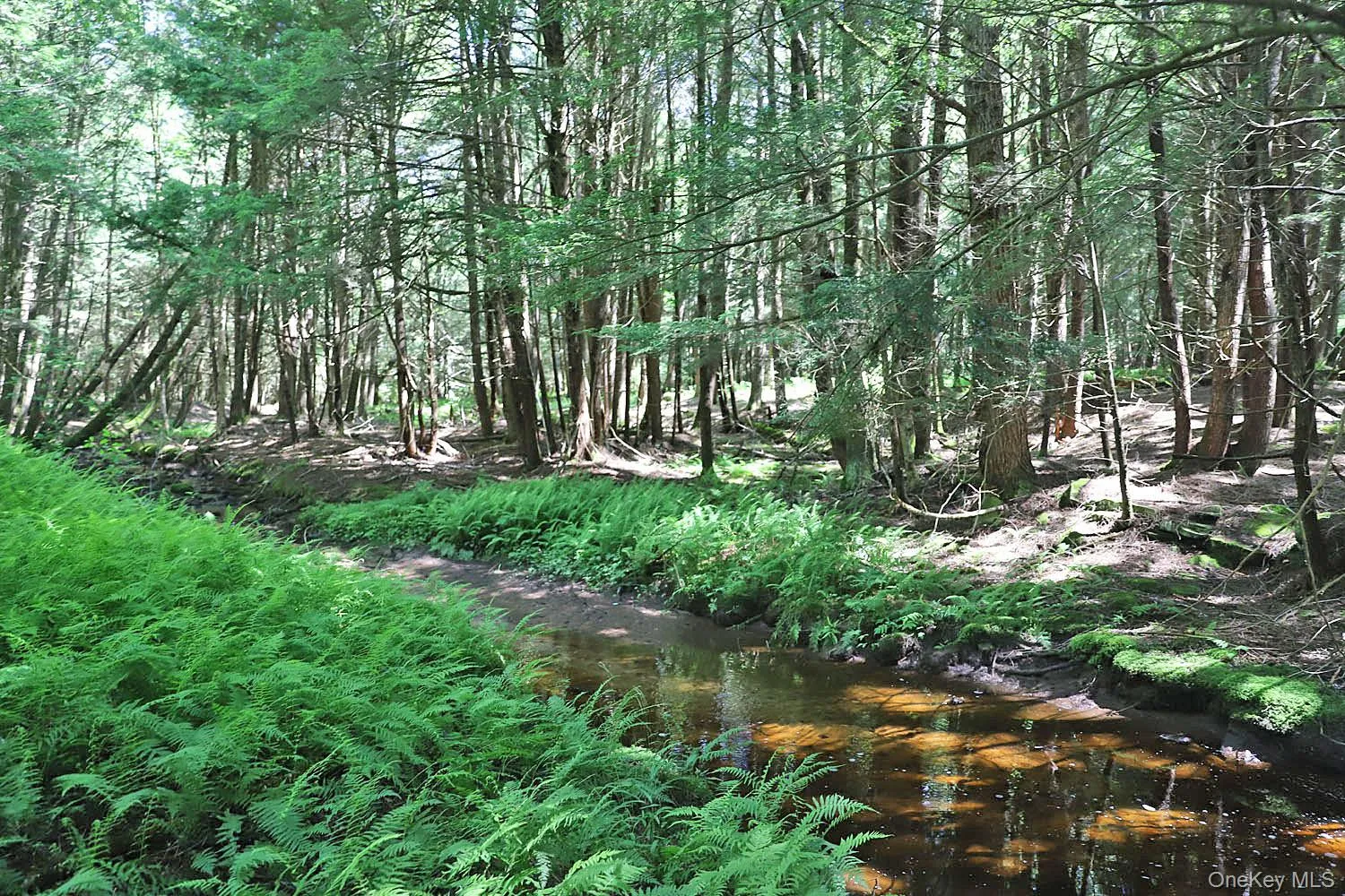 Lot 4A Hurd Road, Bethel, NY, ,Land,For Rent,Hurd,0,1024455 Lot 4A Hurd Road, Bethel, NY, ,Land,For Rent,Hurd,0,1024455