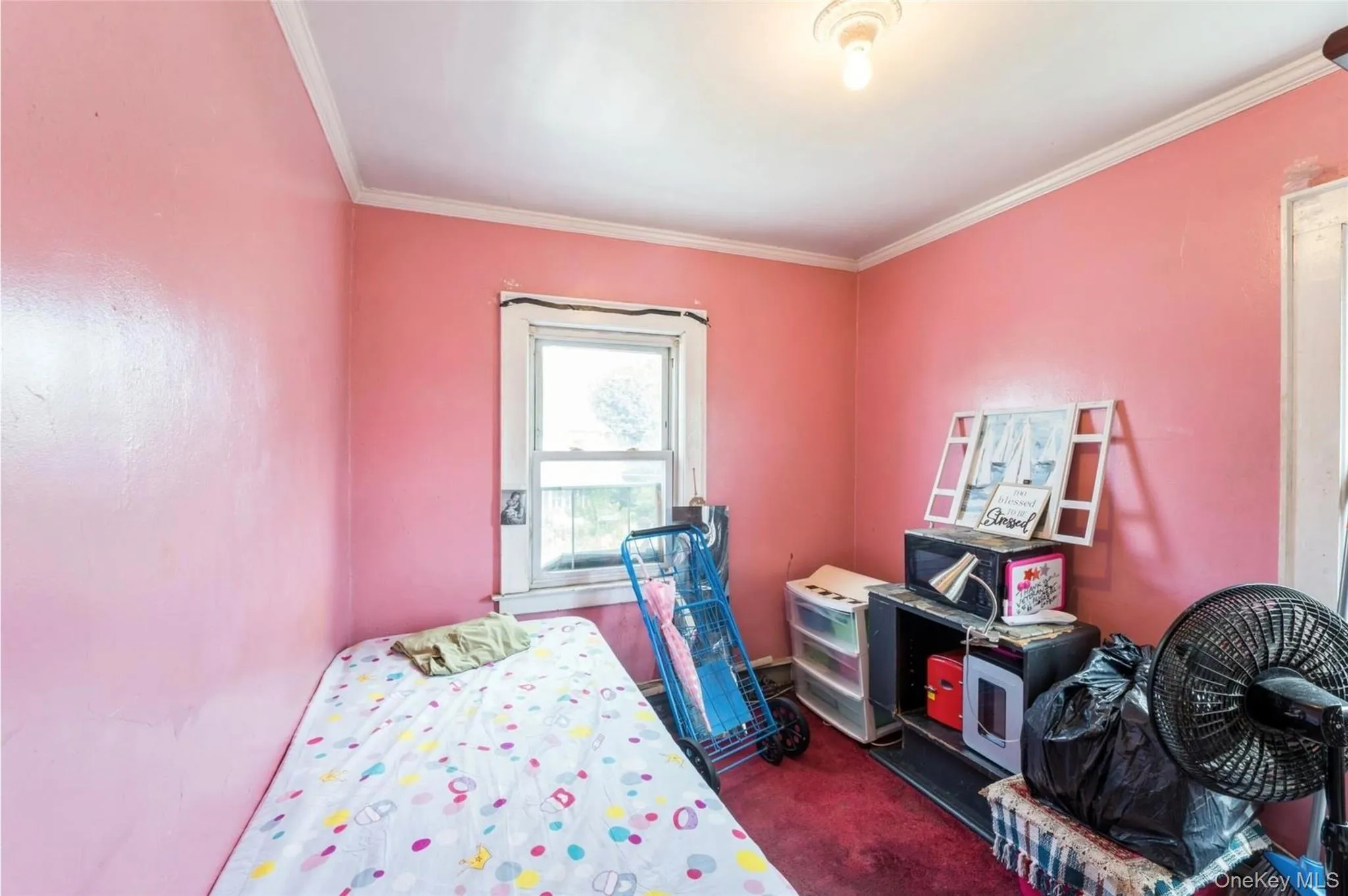 192-10 104th Avenue, New York, NY, 4 Bedrooms Bedrooms, 11 Rooms Rooms,3 BathroomsBathrooms,Residential,For Rent,104th,0,1024459 192-10 104th Avenue, New York, NY, 4 Bedrooms Bedrooms, 11 Rooms Rooms,3 BathroomsBathrooms,Residential,For Rent,104th,0,1024459