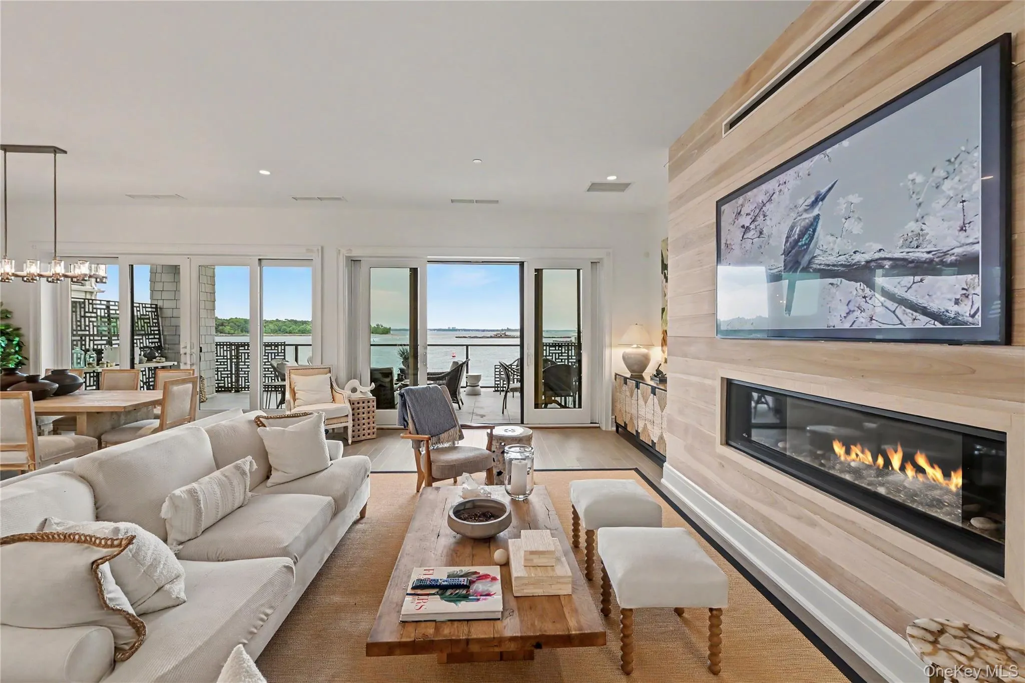 Living area with electric fire place Living area with electric fire place
