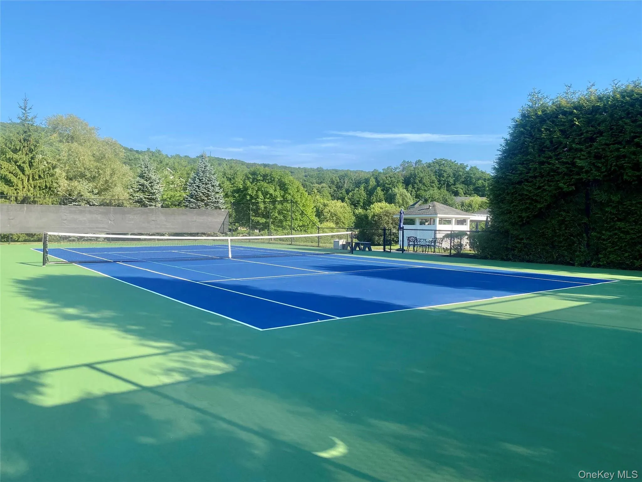 pickleball also!! pickleball also!!