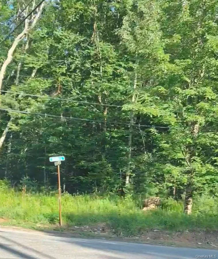 143 Mountaindale Road, Wawarsing, NY, ,Land,For Rent,Mountaindale,0,1024515 143 Mountaindale Road, Wawarsing, NY, ,Land,For Rent,Mountaindale,0,1024515