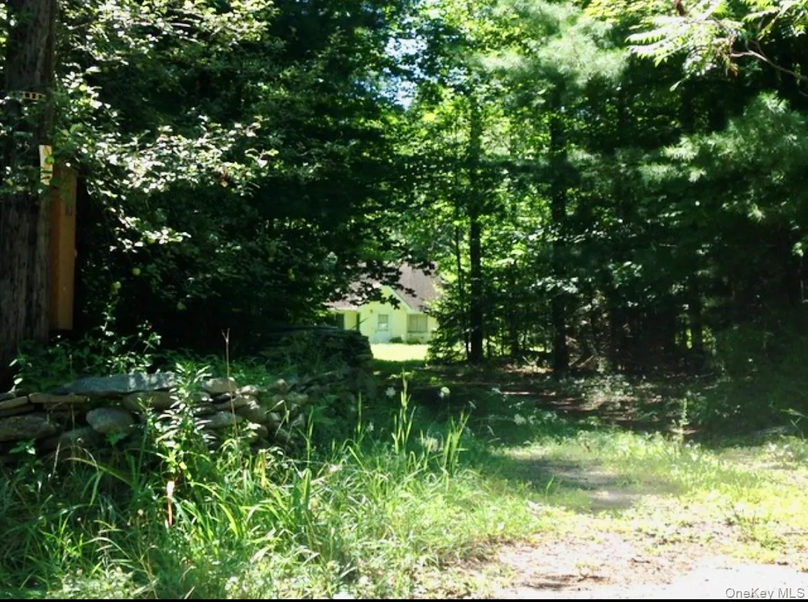 143 Mountaindale Road, Wawarsing, NY, ,Land,For Rent,Mountaindale,0,1024515 143 Mountaindale Road, Wawarsing, NY, ,Land,For Rent,Mountaindale,0,1024515