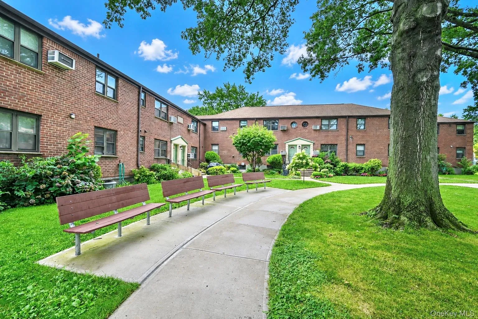 245-12 62 Avenue, New York, NY, 2 Bedrooms Bedrooms, 6 Rooms Rooms,1 BathroomBathrooms,Residential,For Rent,62,0,1024520 245-12 62 Avenue, New York, NY, 2 Bedrooms Bedrooms, 6 Rooms Rooms,1 BathroomBathrooms,Residential,For Rent,62,0,1024520